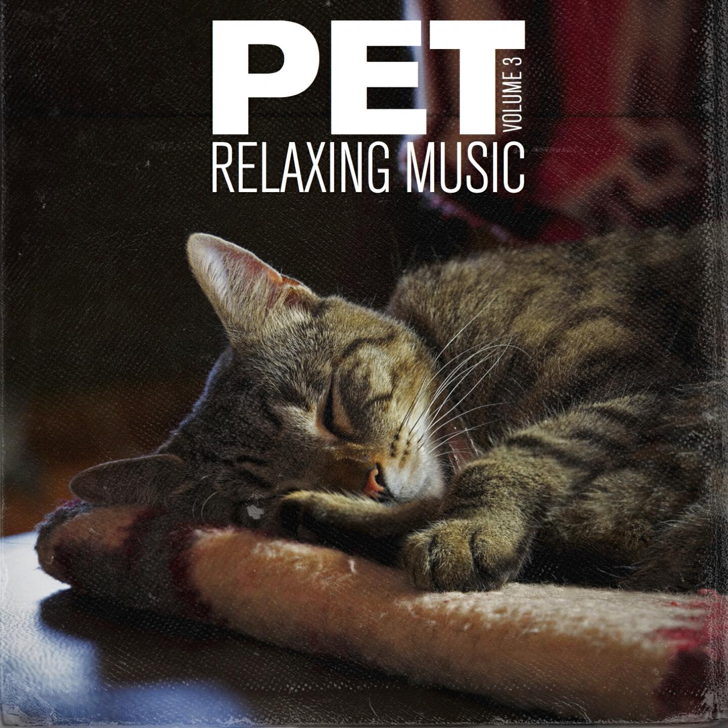Reflex Respect - 1H Pet Music Therapy (Five Pet Music World)