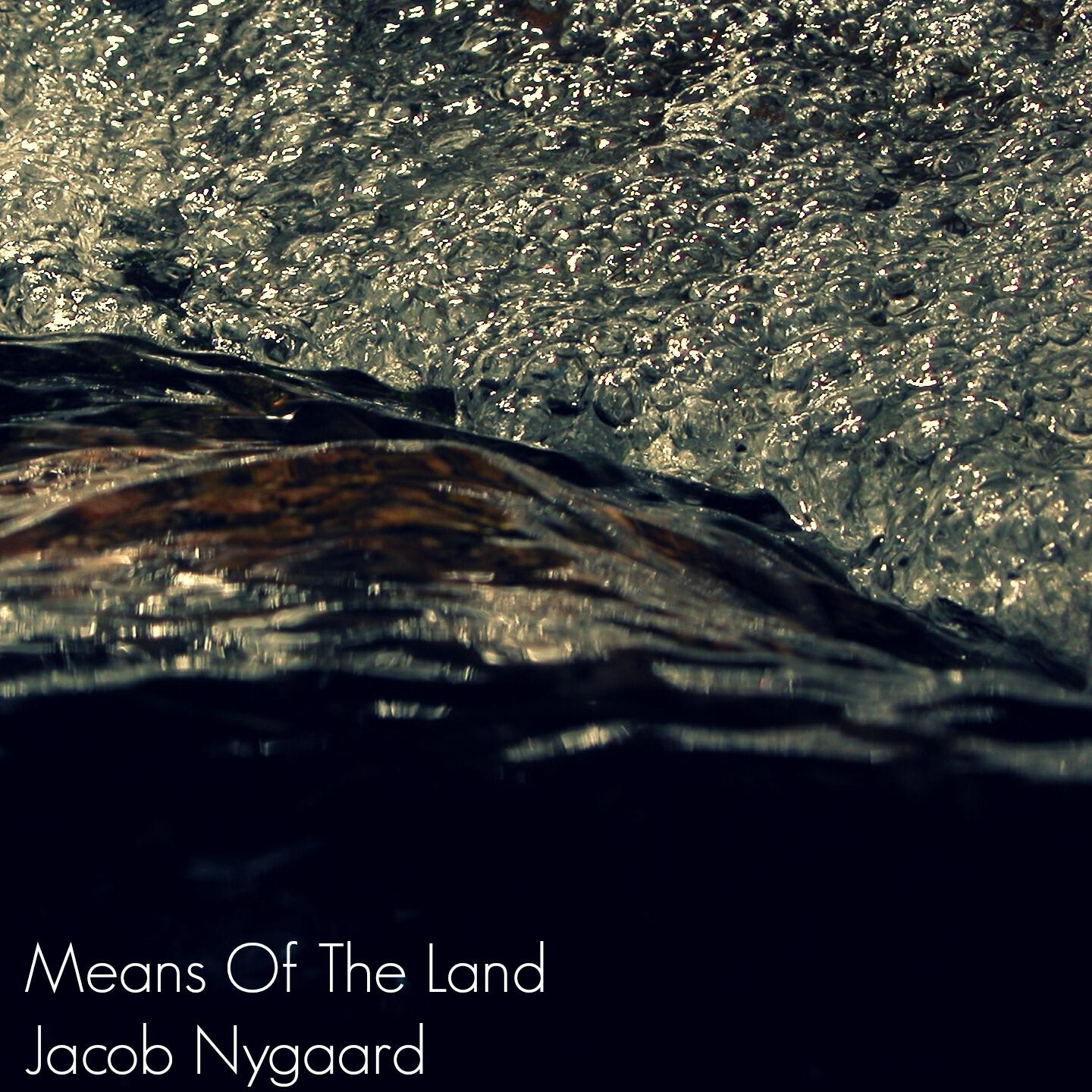 Jacob Nygaard - Means of the Land