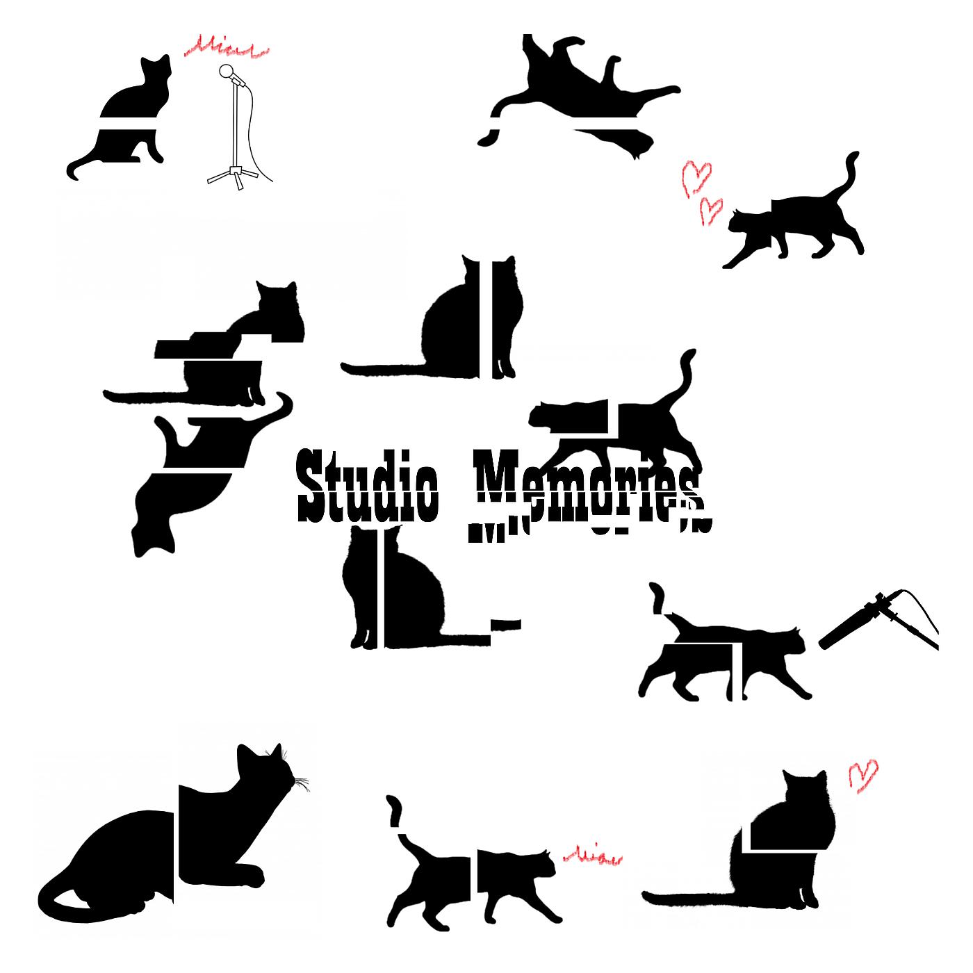 Постер альбома Studio Memorys