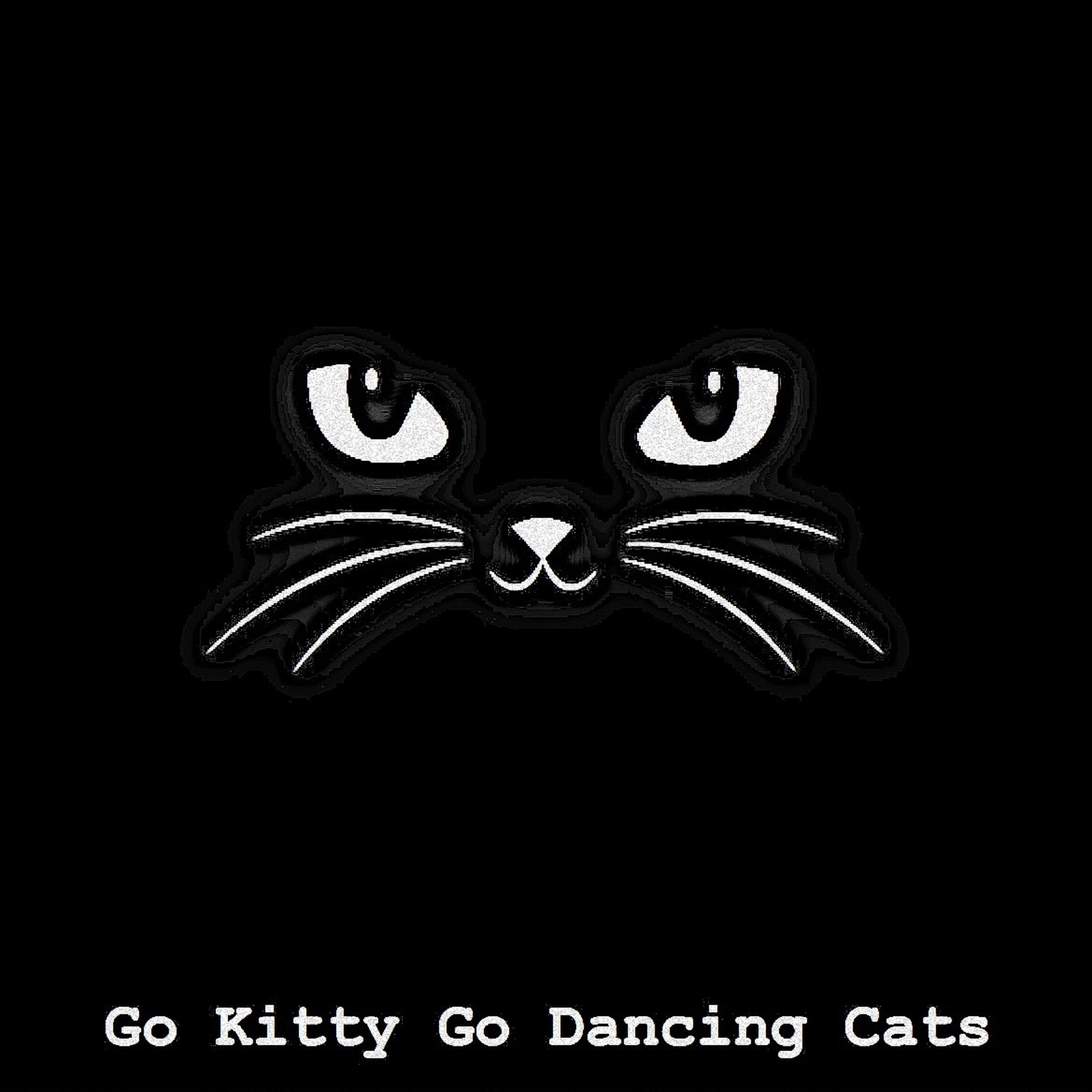 Постер альбома Go Kitty Go Dancing Cats