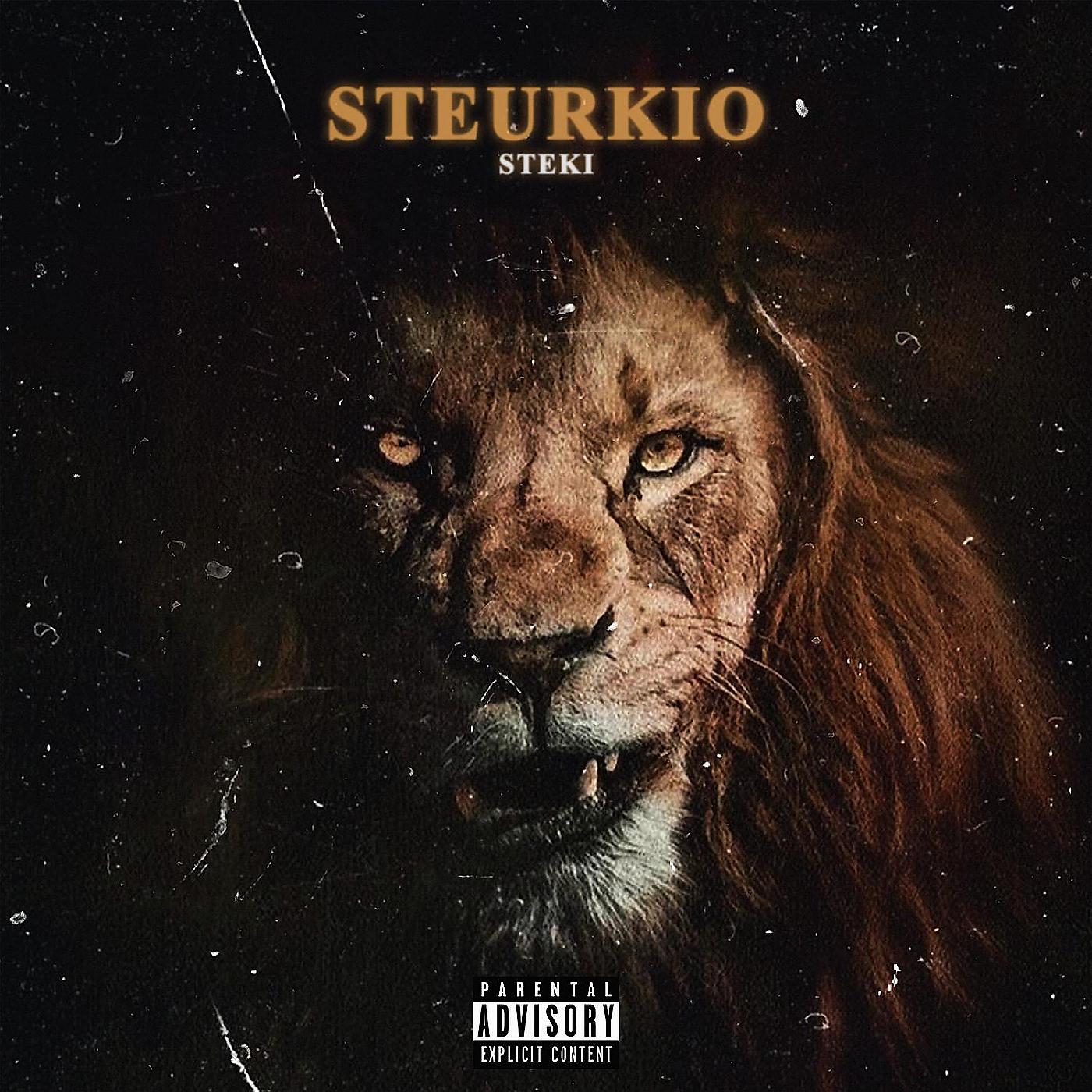 Постер альбома Steurkio