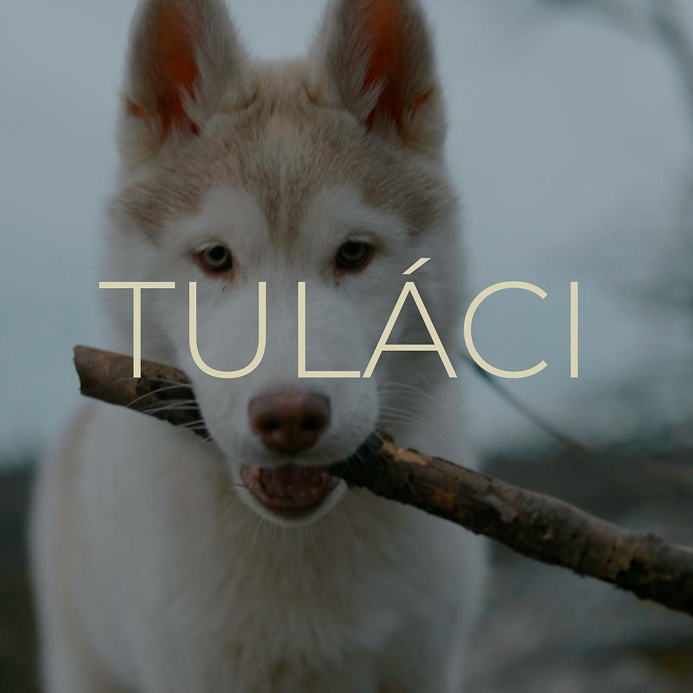 Постер альбома Tuláci