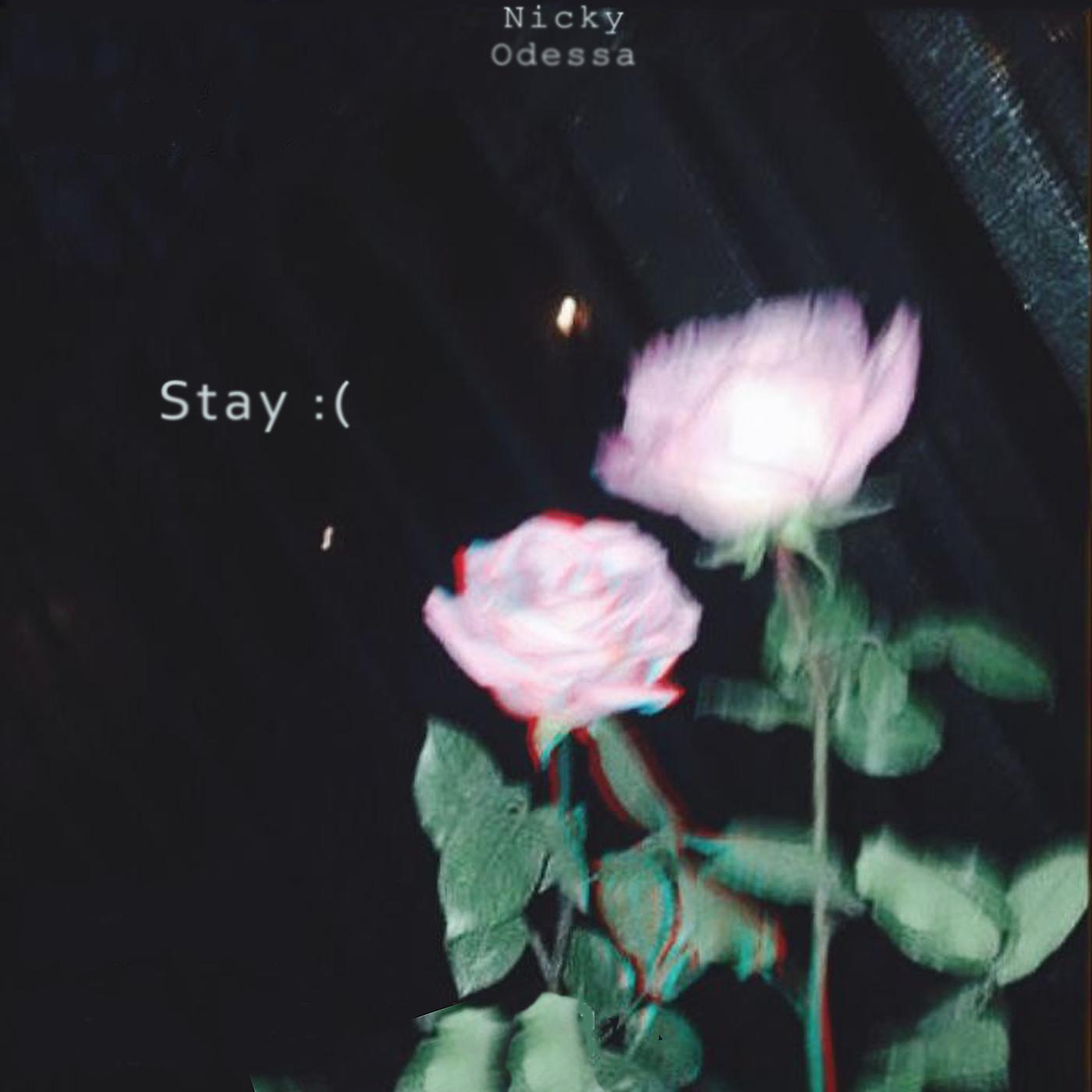 Постер альбома Stay (Low Version)