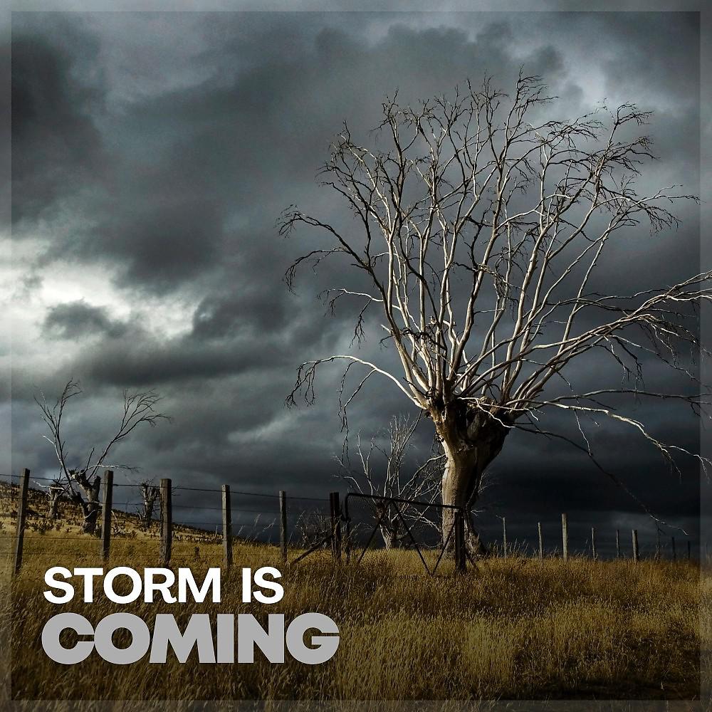 Постер альбома Storm Is Coming