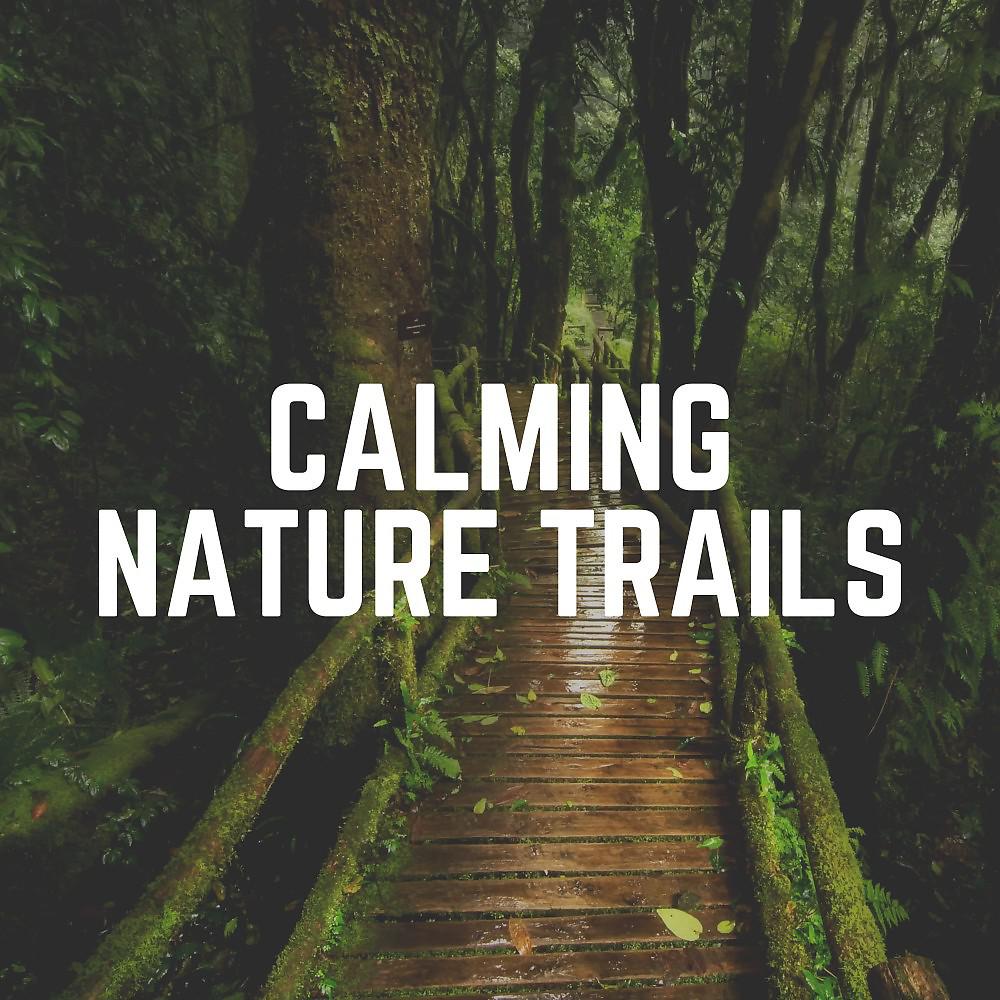 Постер альбома Calming Nature Trails