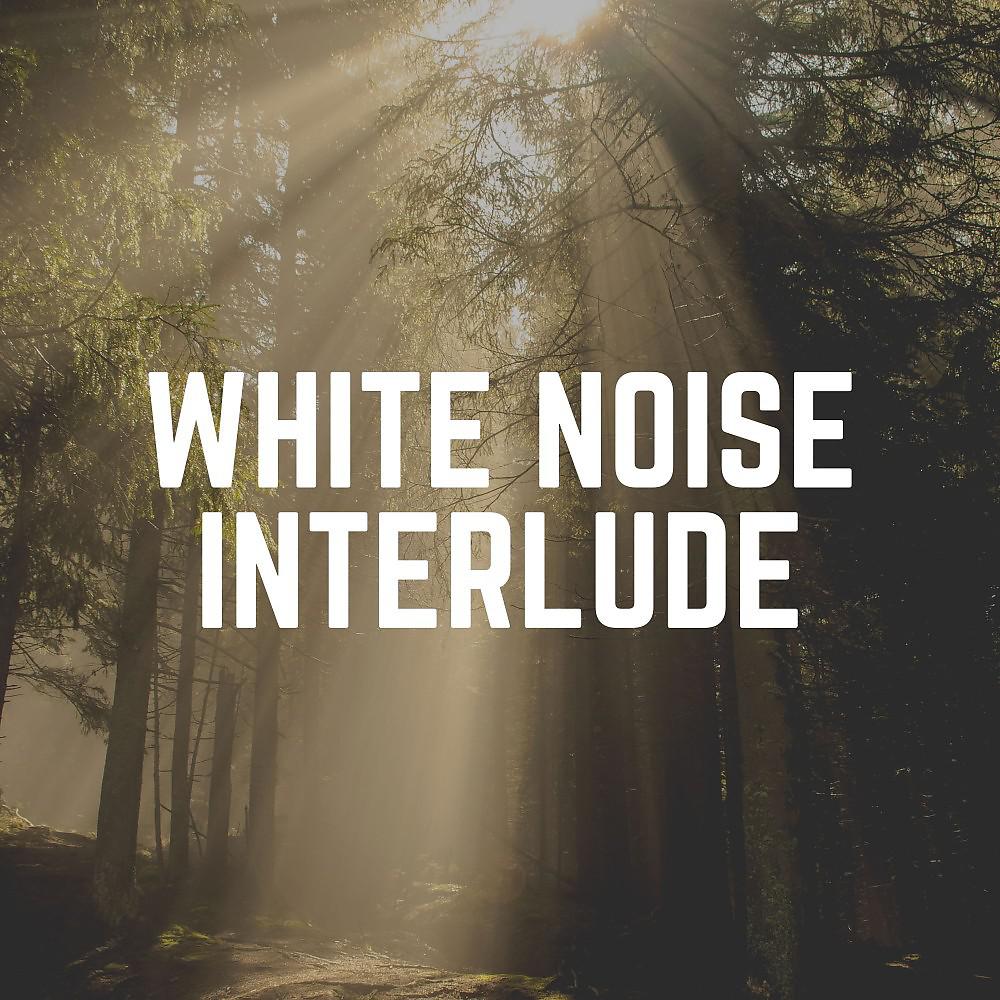 Постер альбома White Noise Interlude