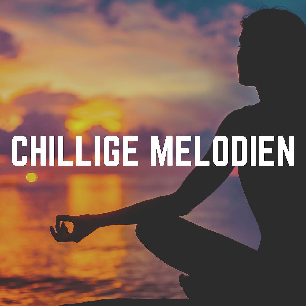 Постер альбома Chillige Melodien