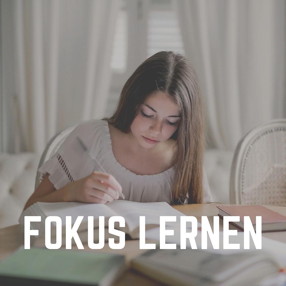Постер альбома Fokus Lernen