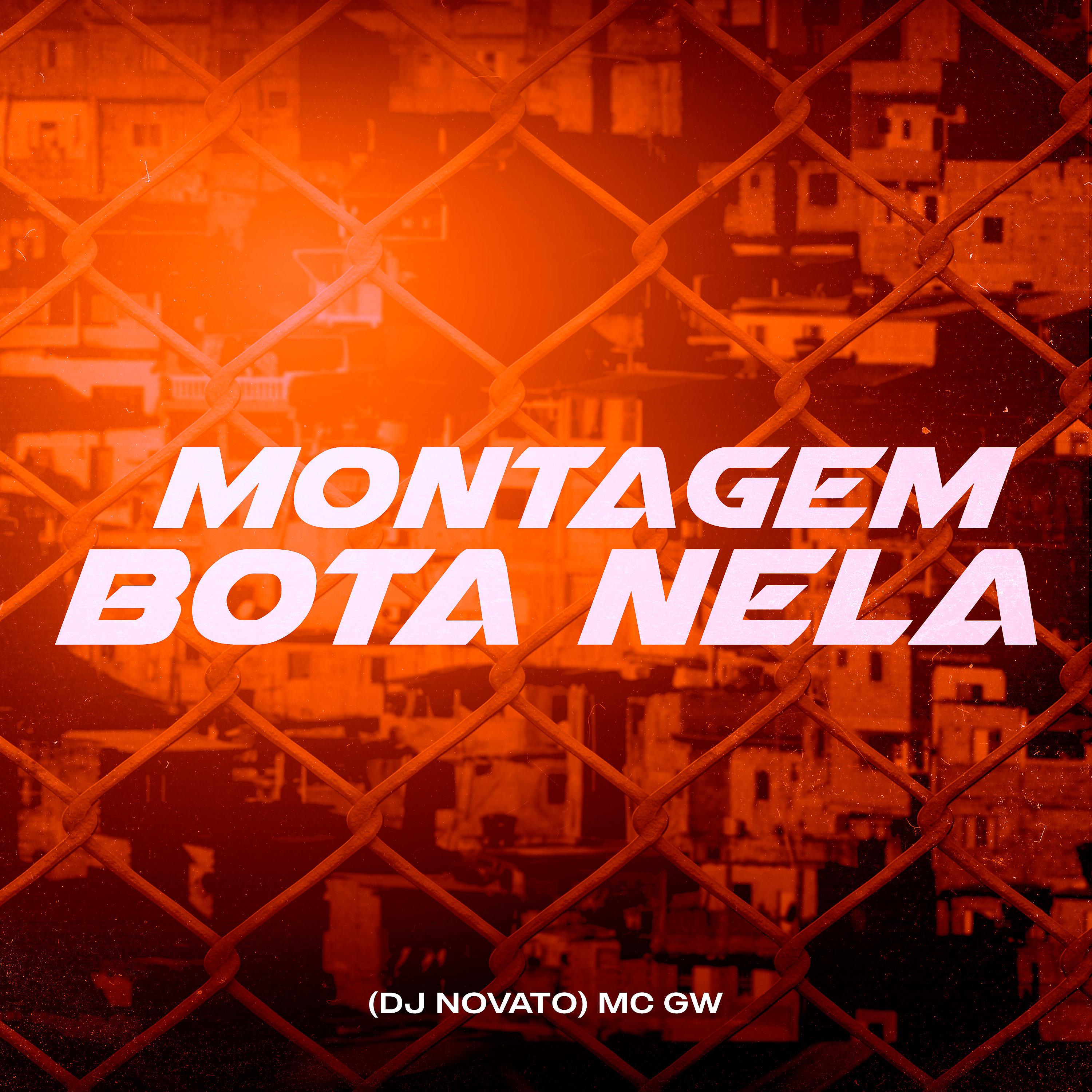 Постер альбома Mtg - Bota Nela