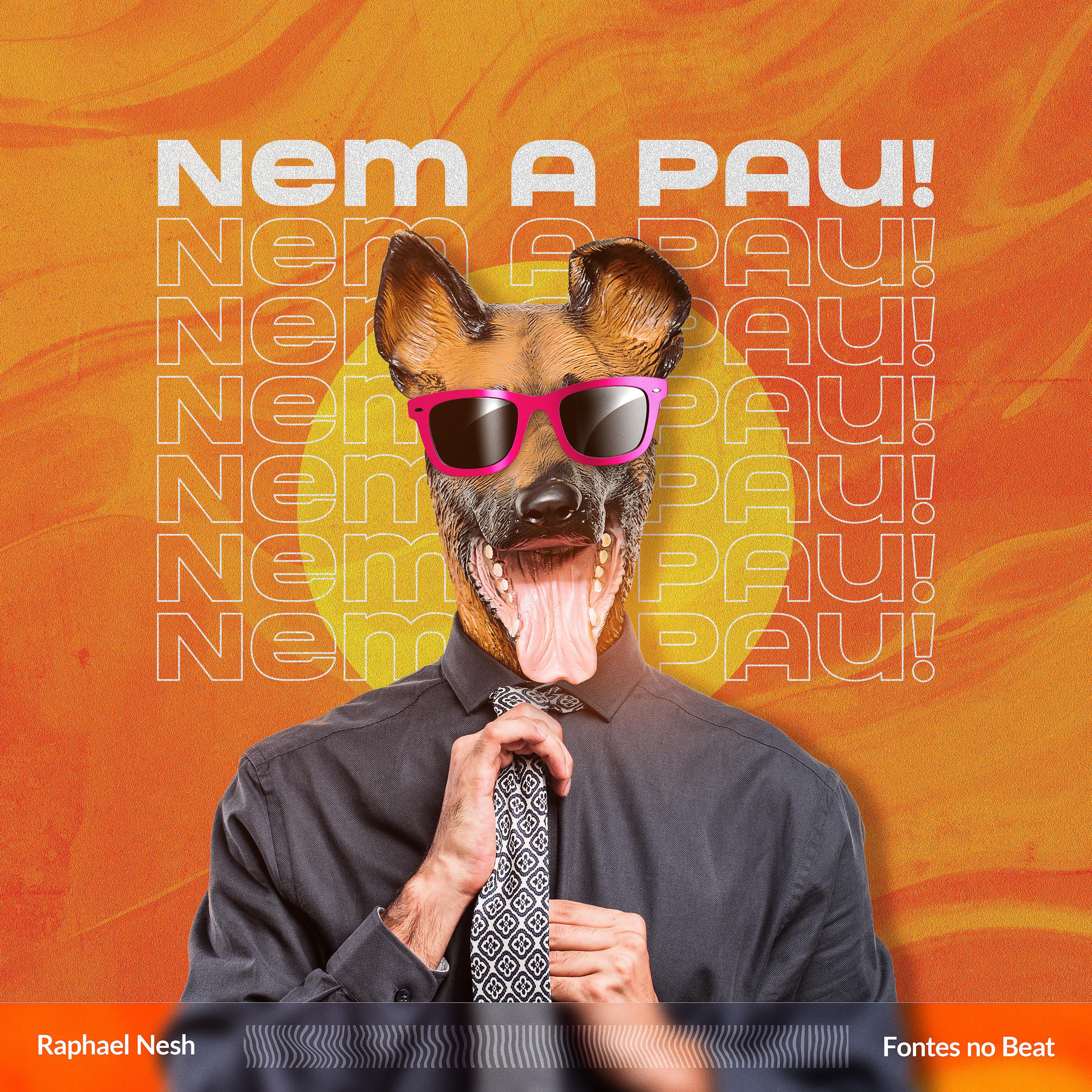 Постер альбома Nem a Pau