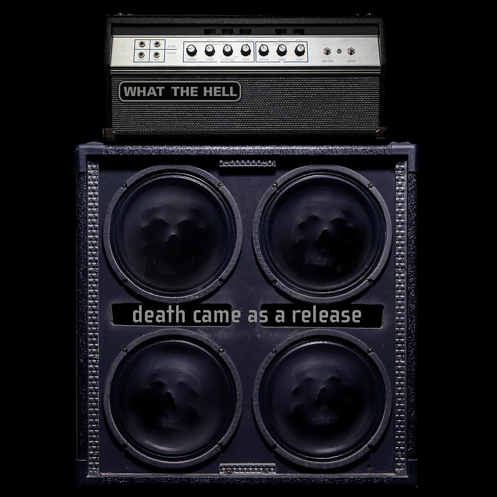 Постер альбома Death Came as a Release
