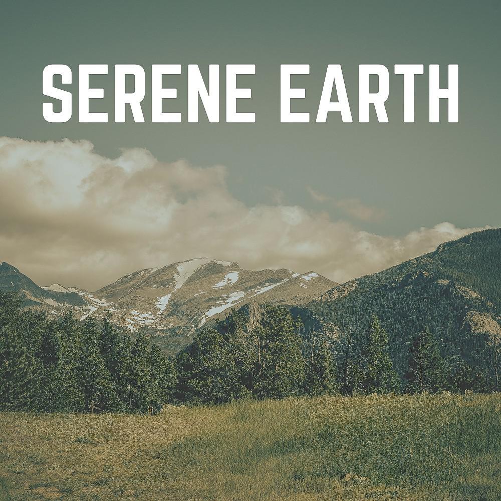Постер альбома Serene Earth