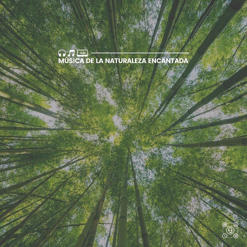 Постер альбома Música de la Naturaleza Encantada