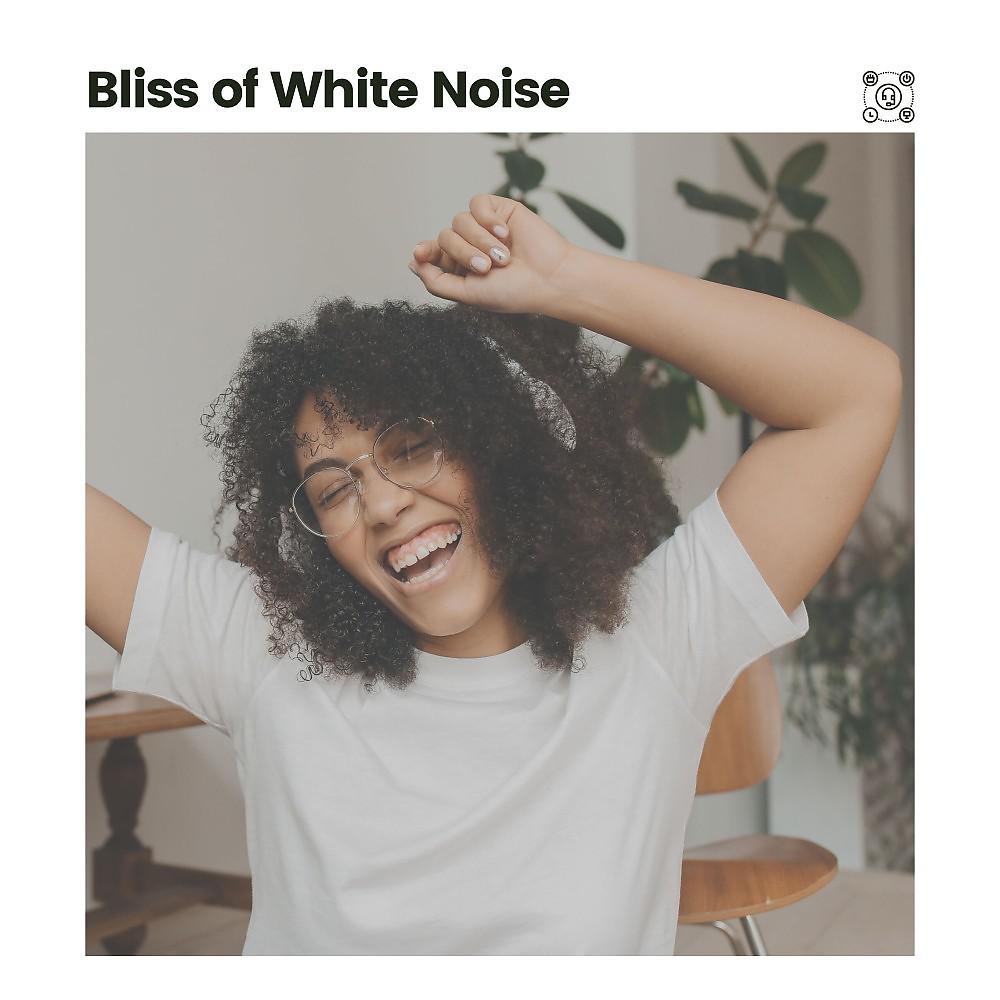 Постер альбома Bliss of White Noise