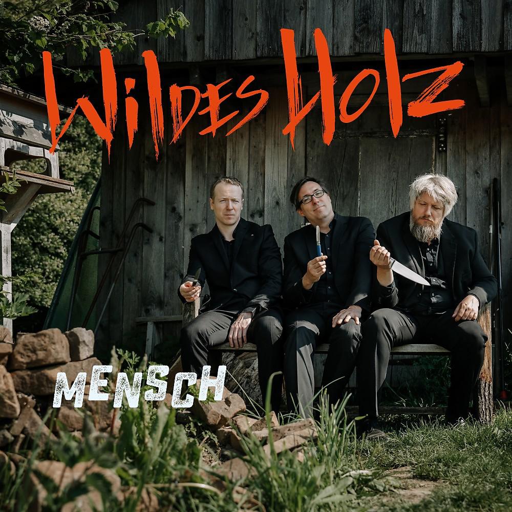 Постер альбома Mensch