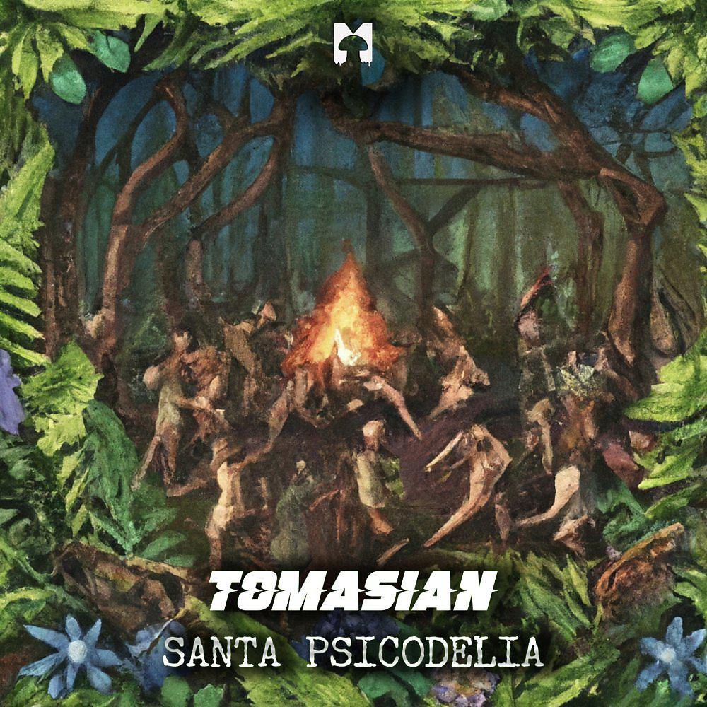 Постер альбома Santa Psicodelia