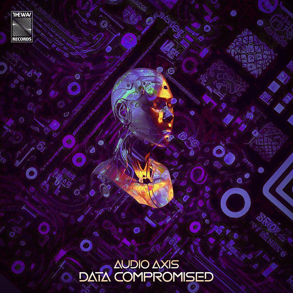 Постер альбома Data Compromised