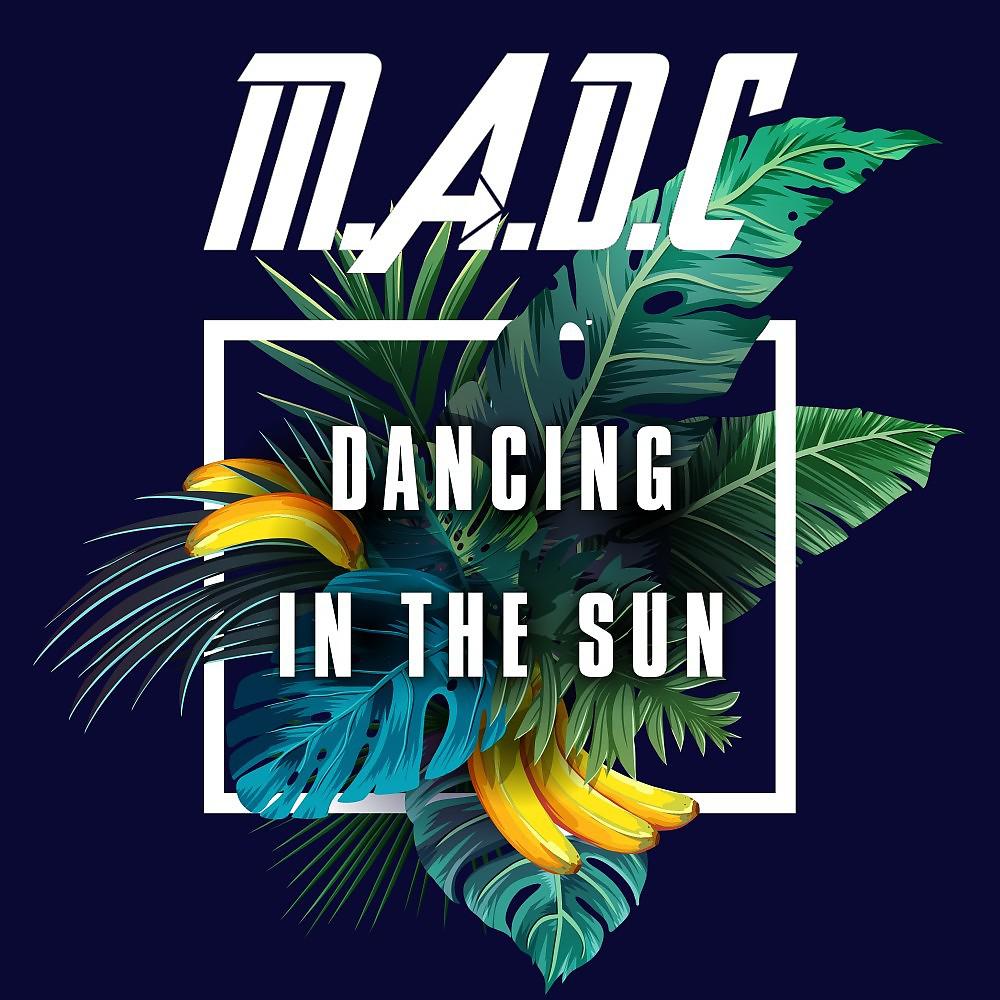 Постер альбома Dancing in the Sun