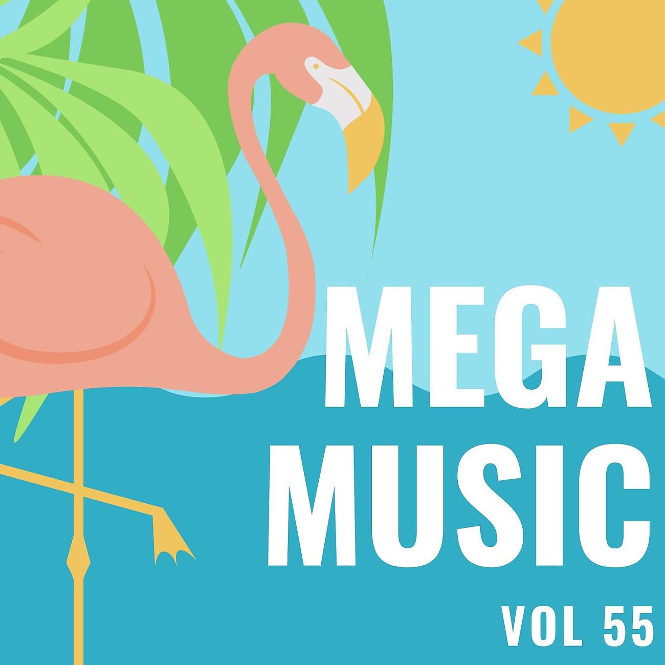 Постер альбома Mega Music Vol 55