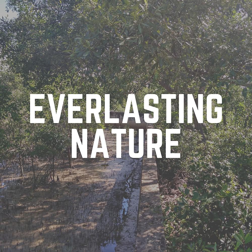 Постер альбома Everlasting Nature