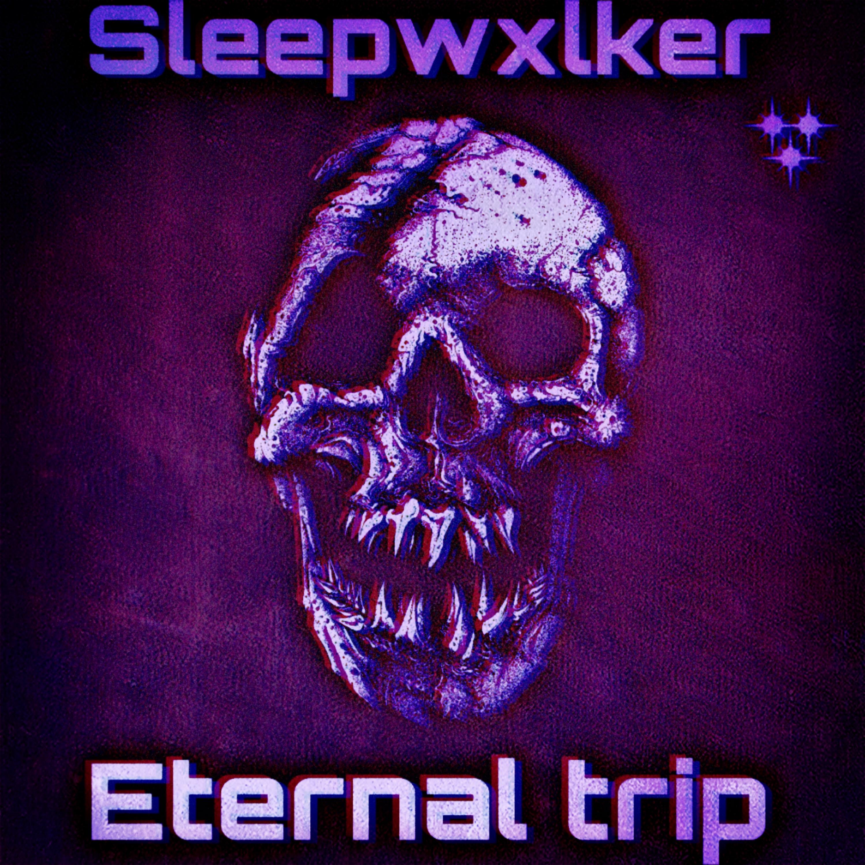 Постер альбома Eternal Trip