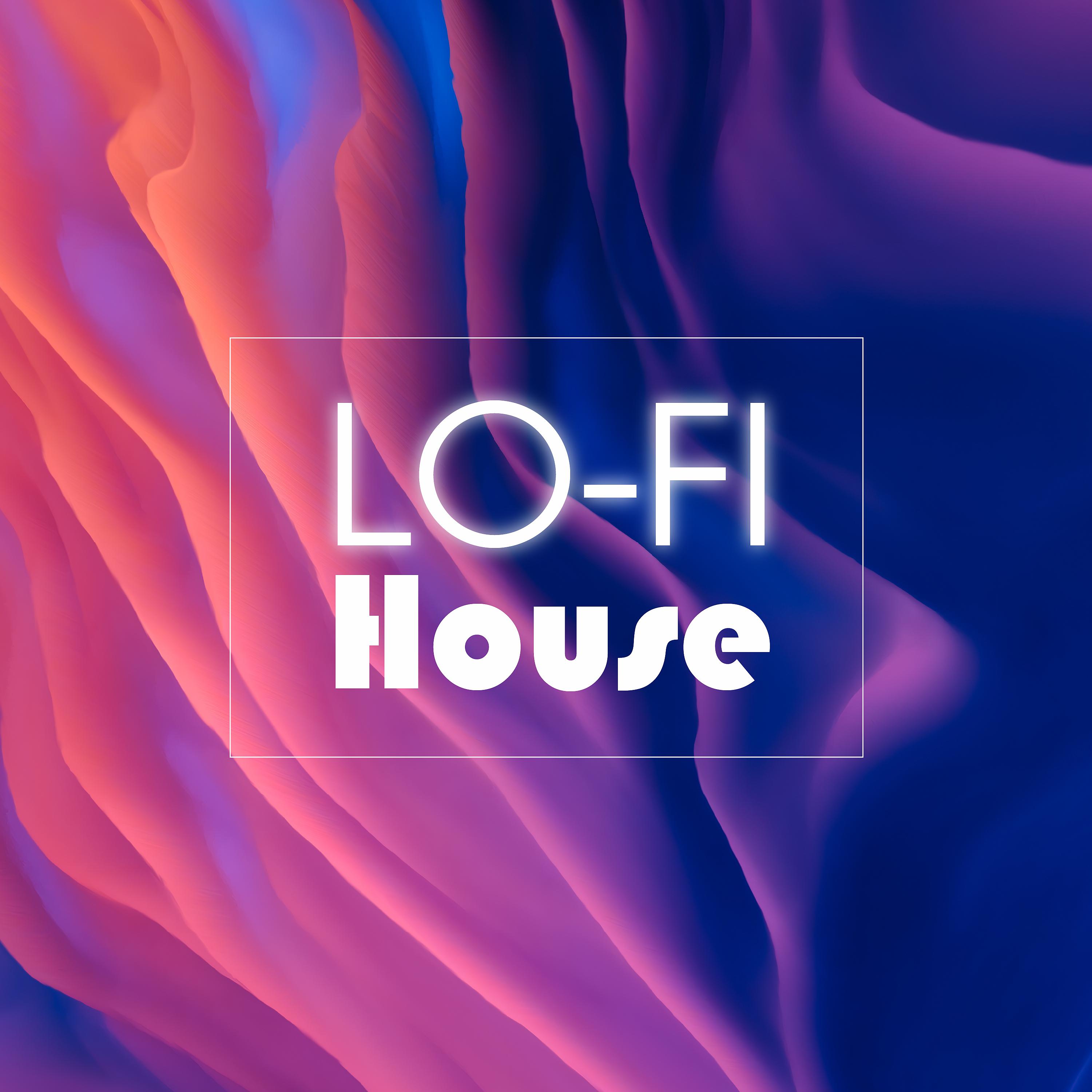 Постер альбома Lo Fi House