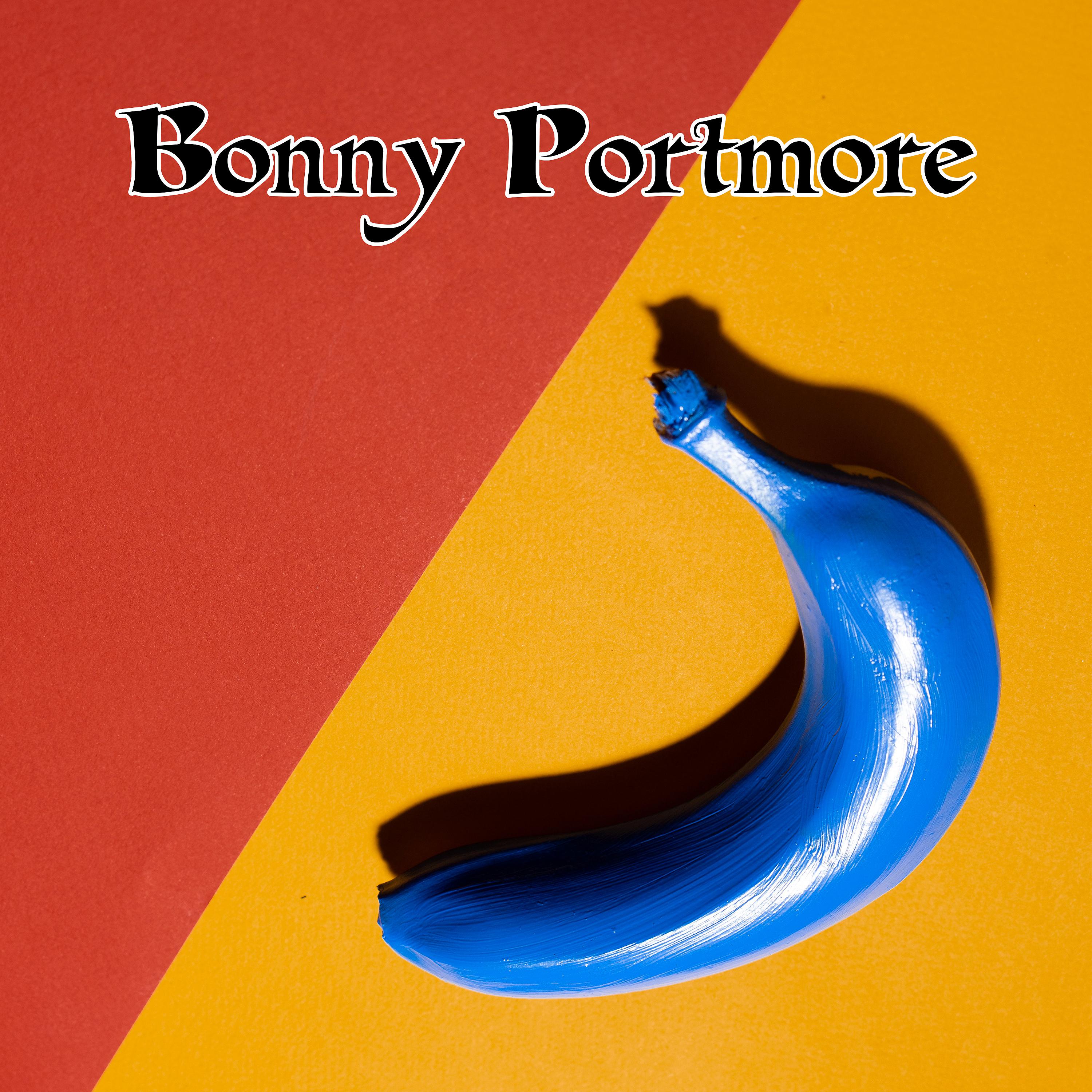 Постер альбома Bonny Portmore