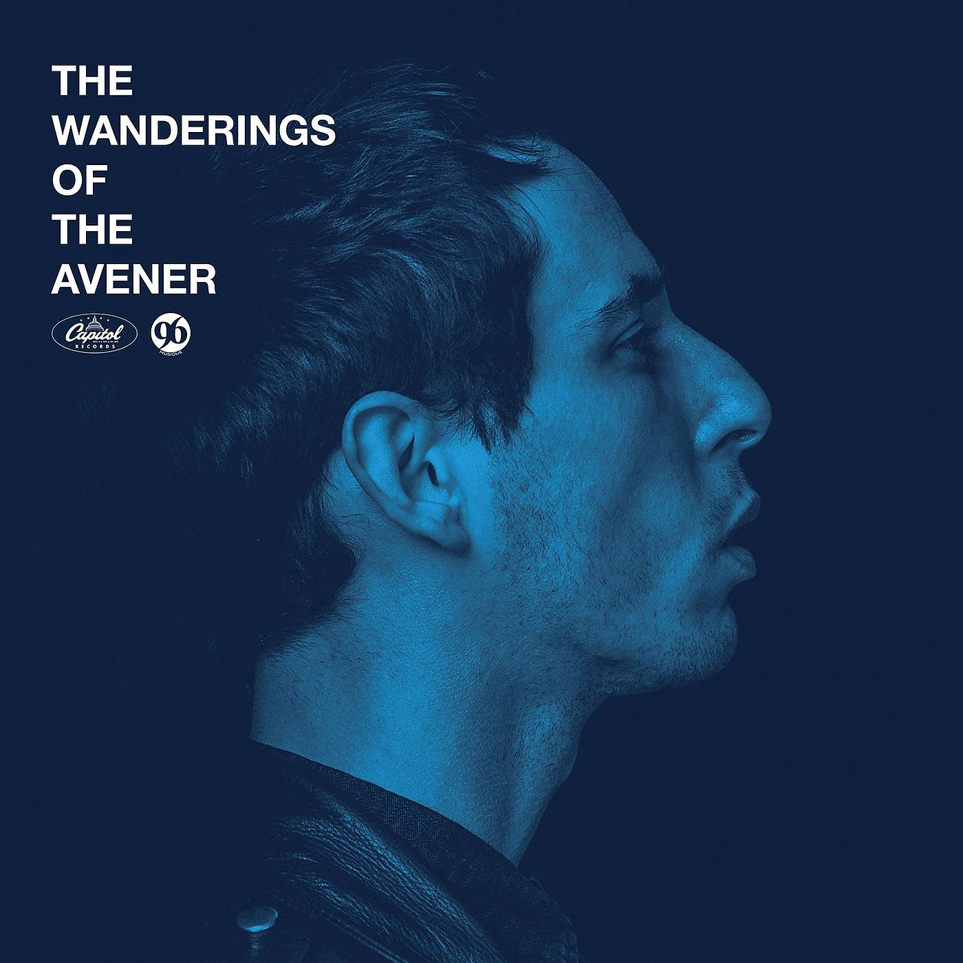 Постер альбома The Wanderings Of The Avener