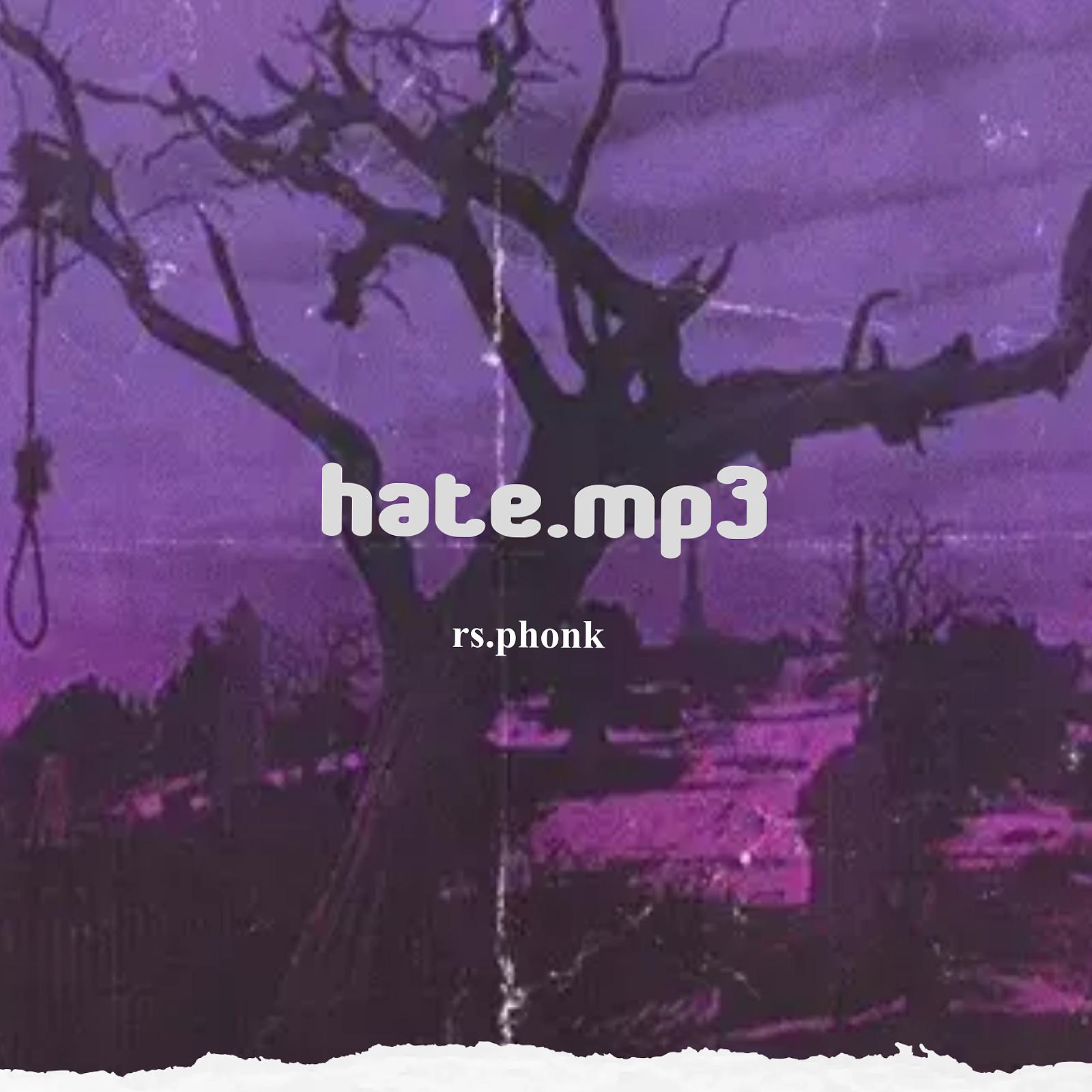 Постер альбома Hate.mp3
