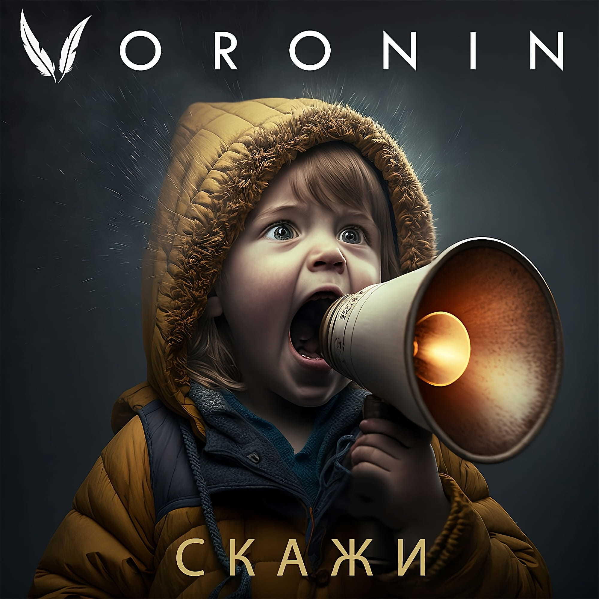 говорящий альбом. говорящий фотоальбом для аутистов.