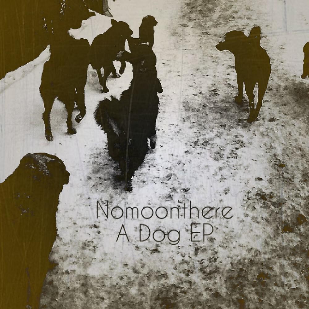 Nomoonthere - A Dog (Slow Life Program)