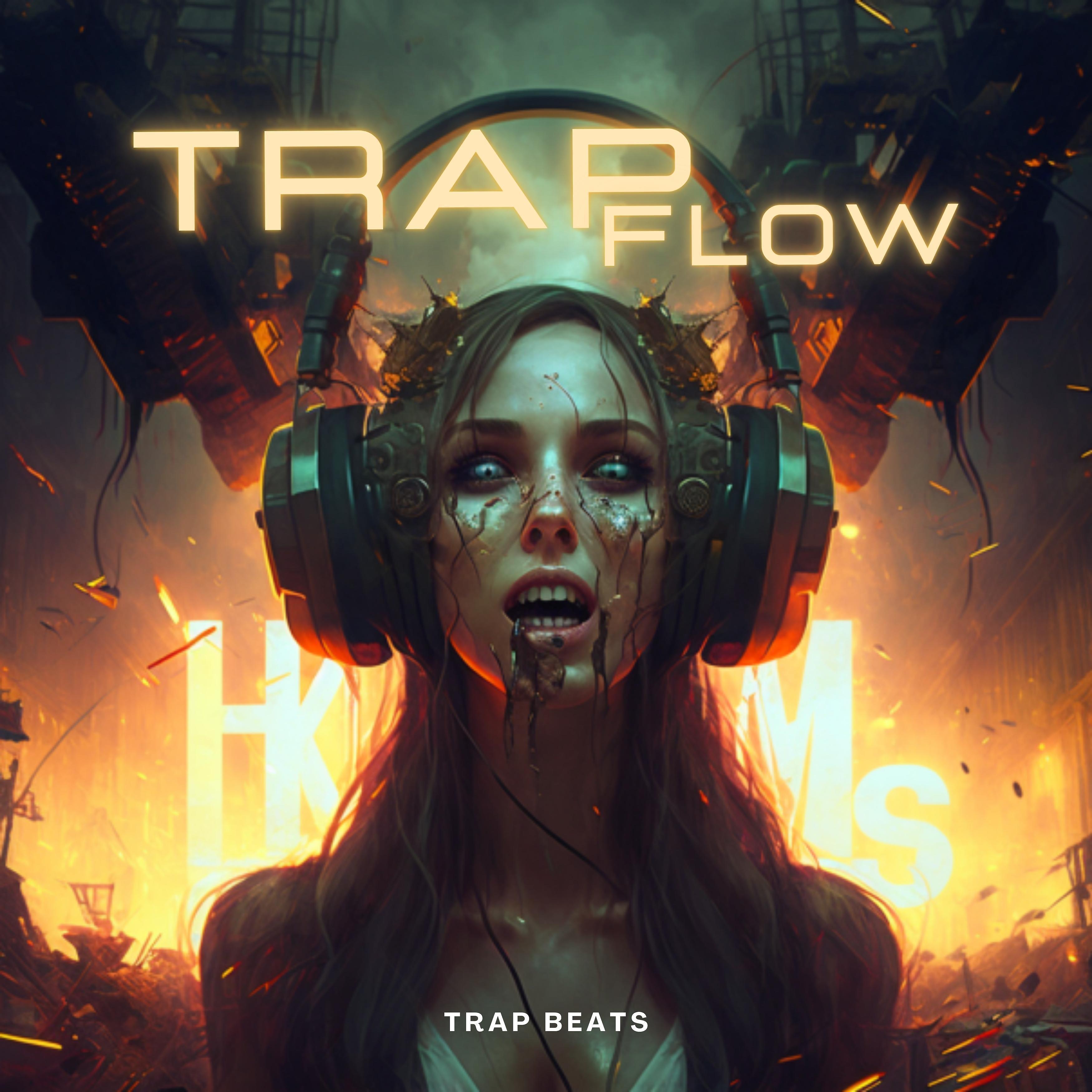 Постер альбома Trap Flow