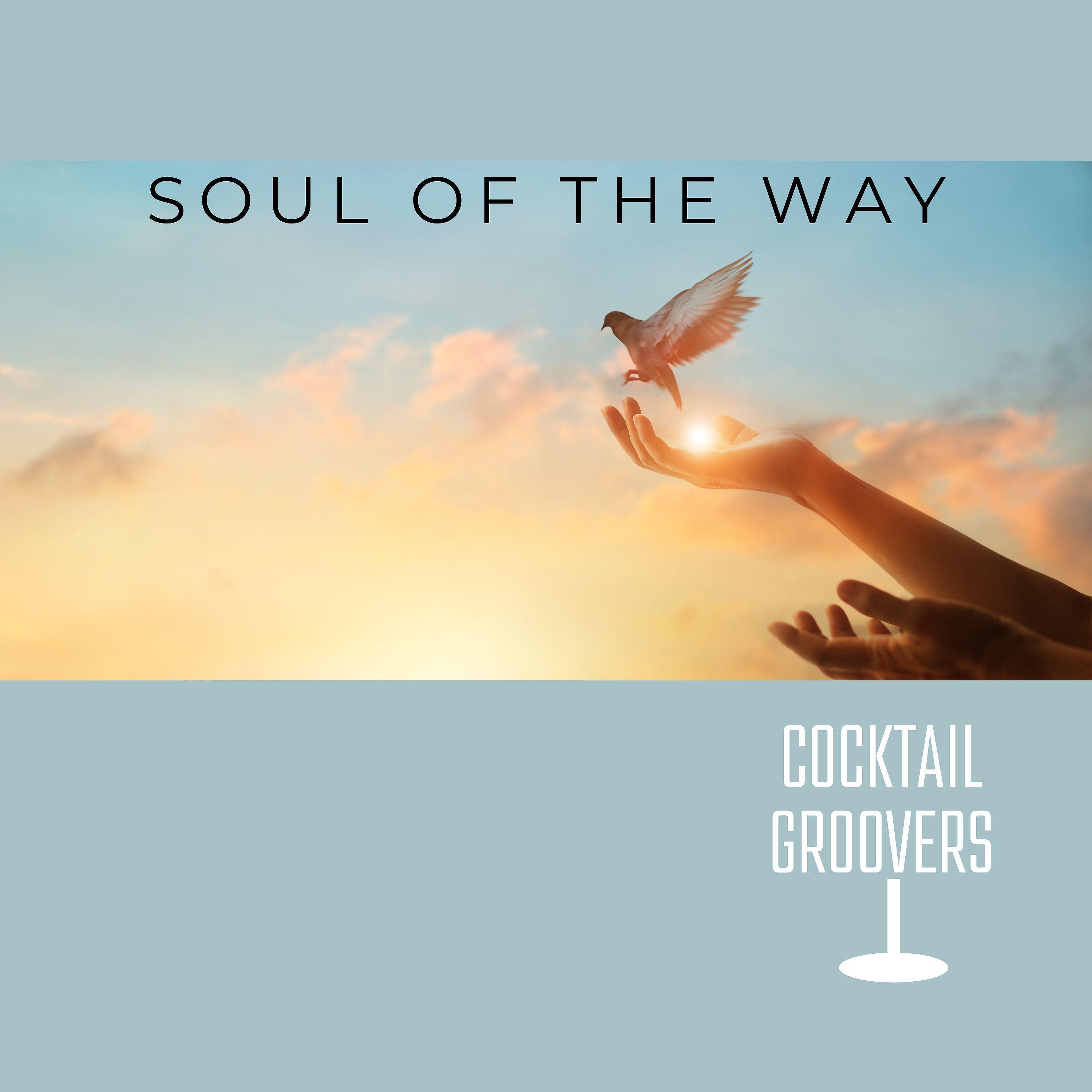 Постер альбома Soul Of The Way