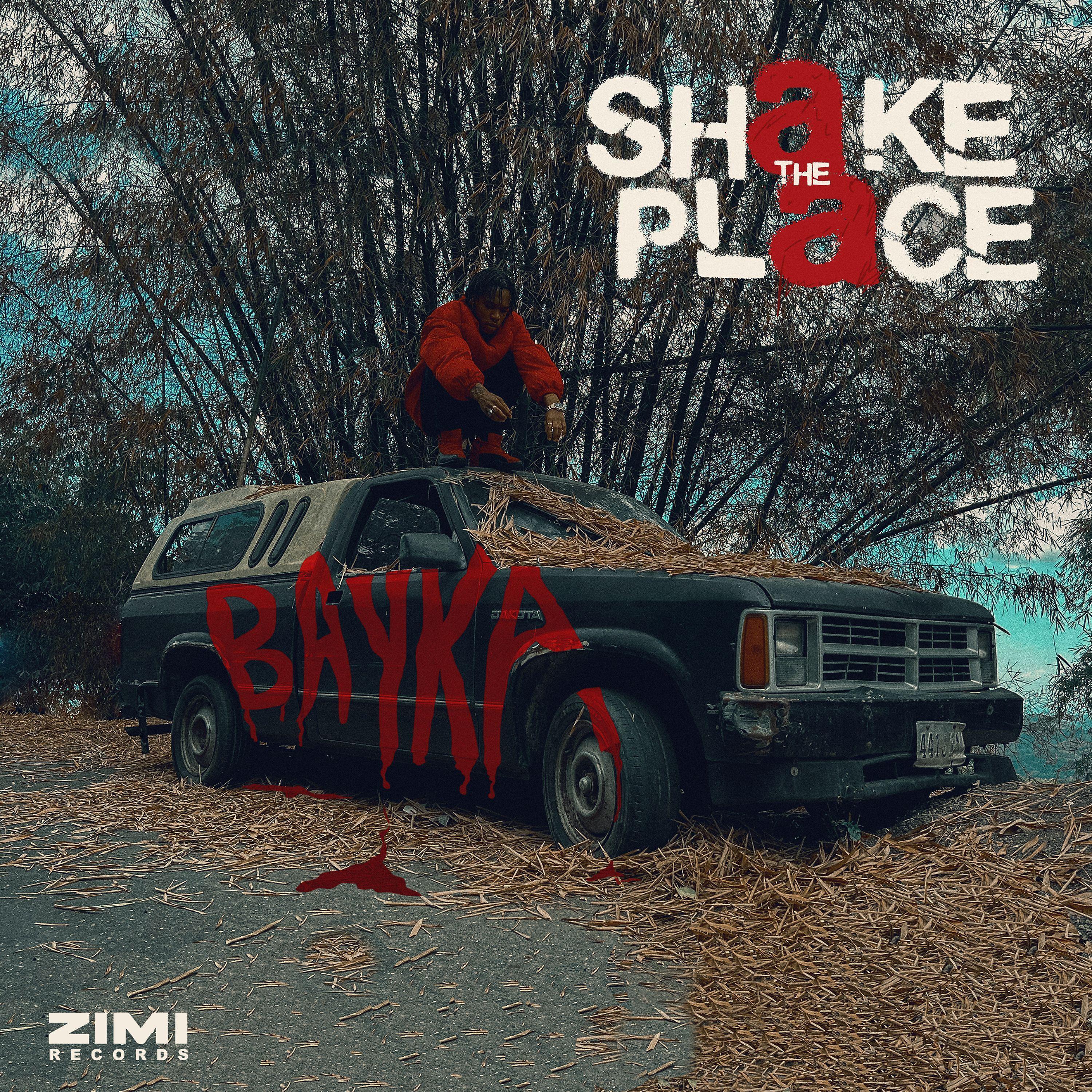 Постер альбома Shake the Place