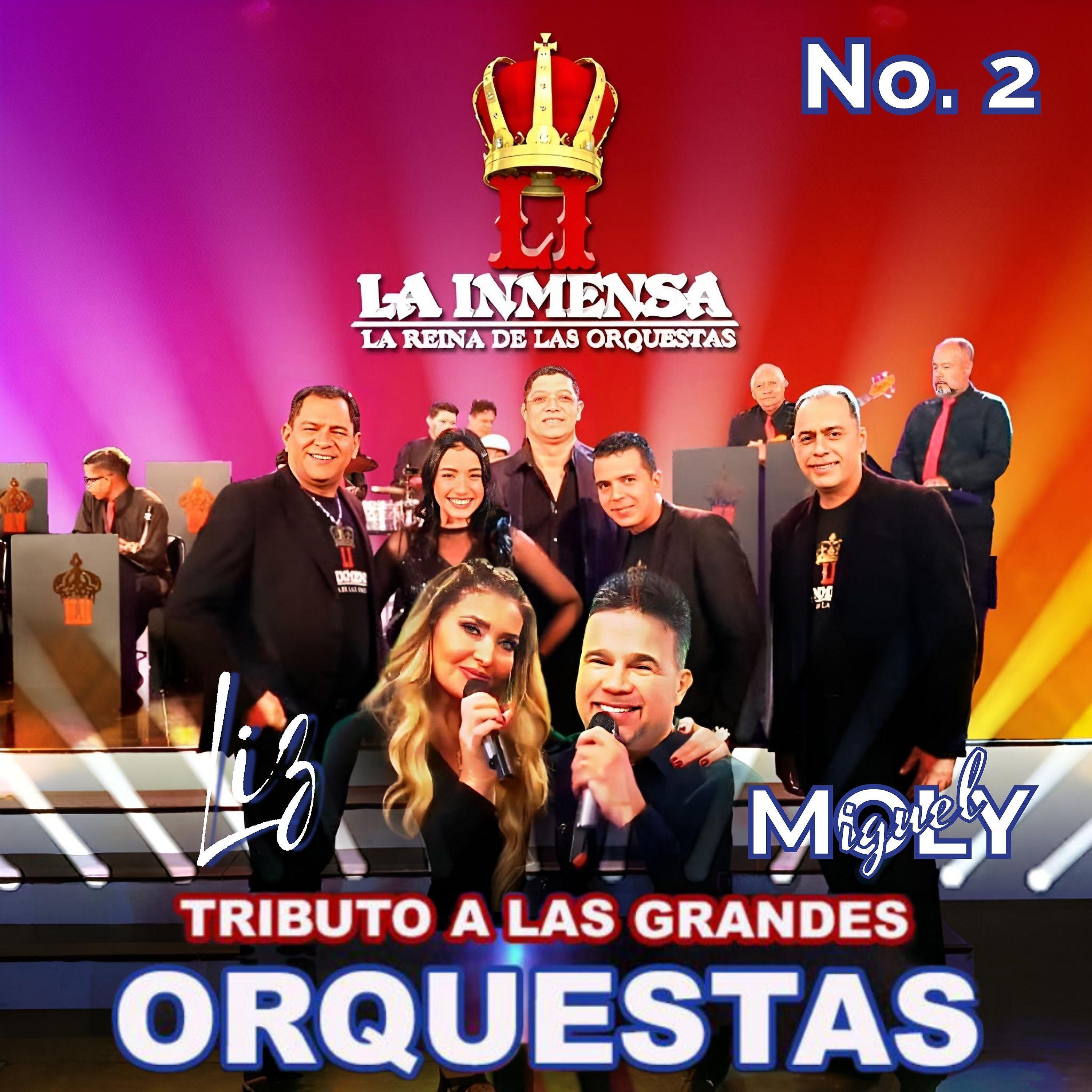 Постер альбома Tributo a las Grandes Orquestas, No. 2