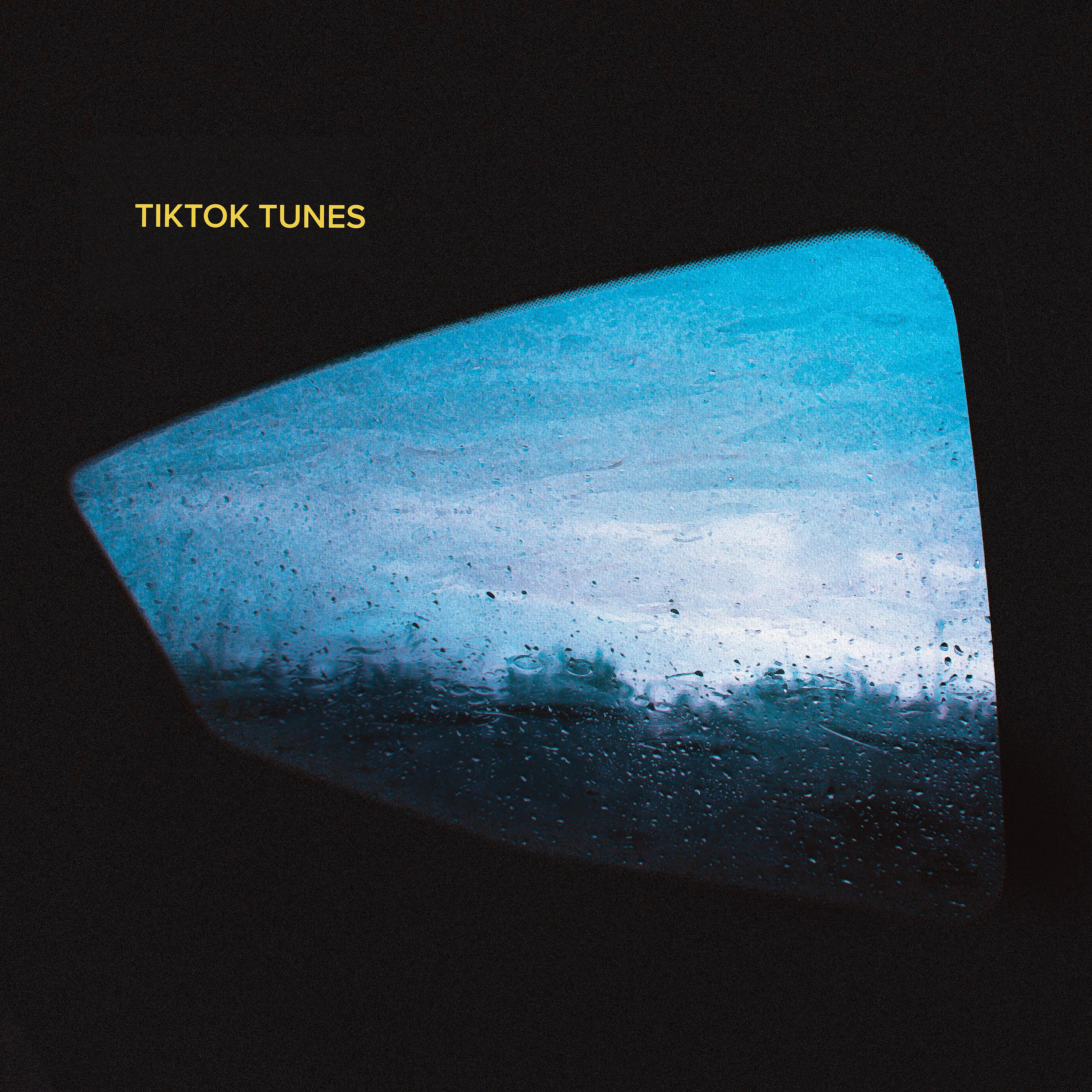 Постер альбома TikTok Tunes