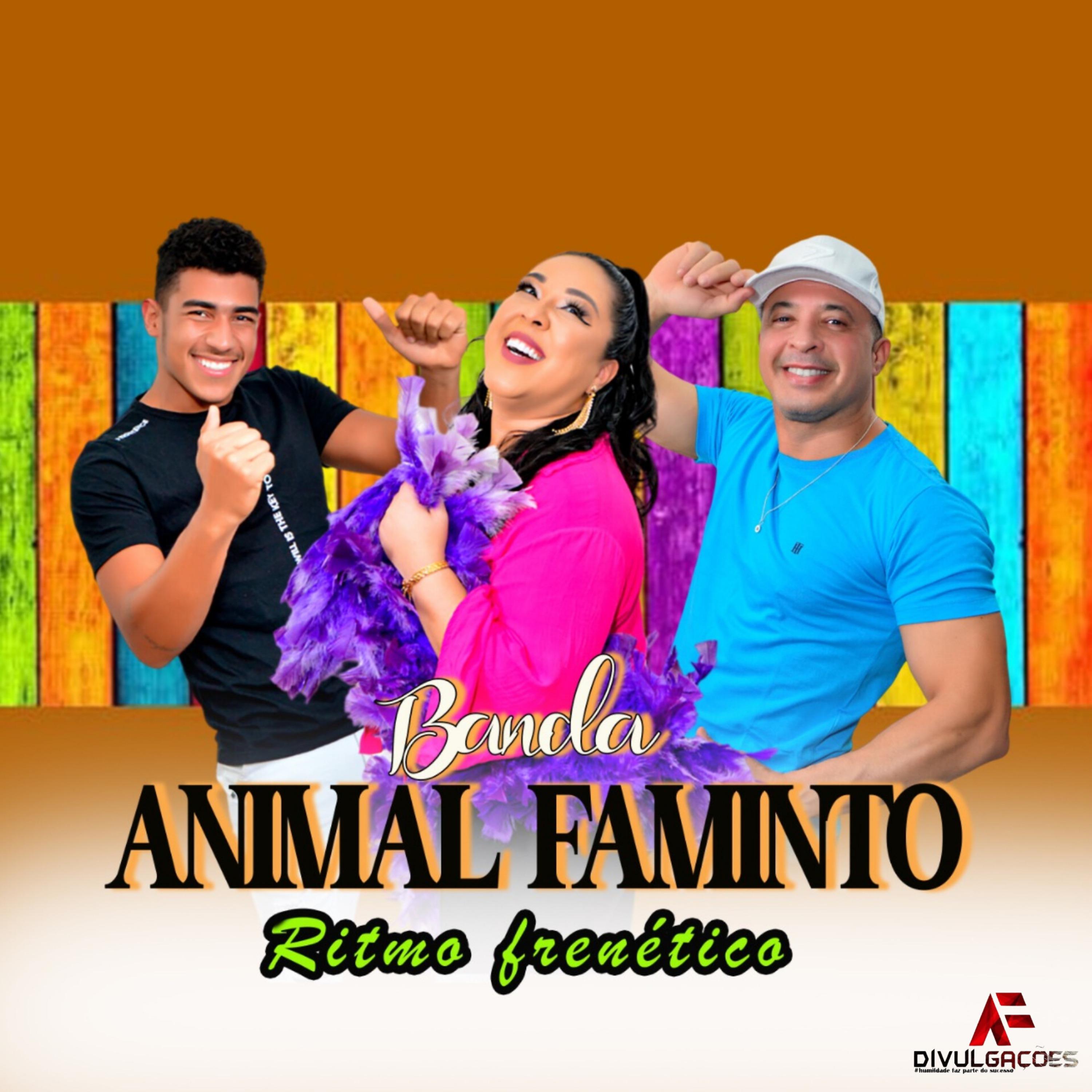 Постер альбома Forró das Antigas