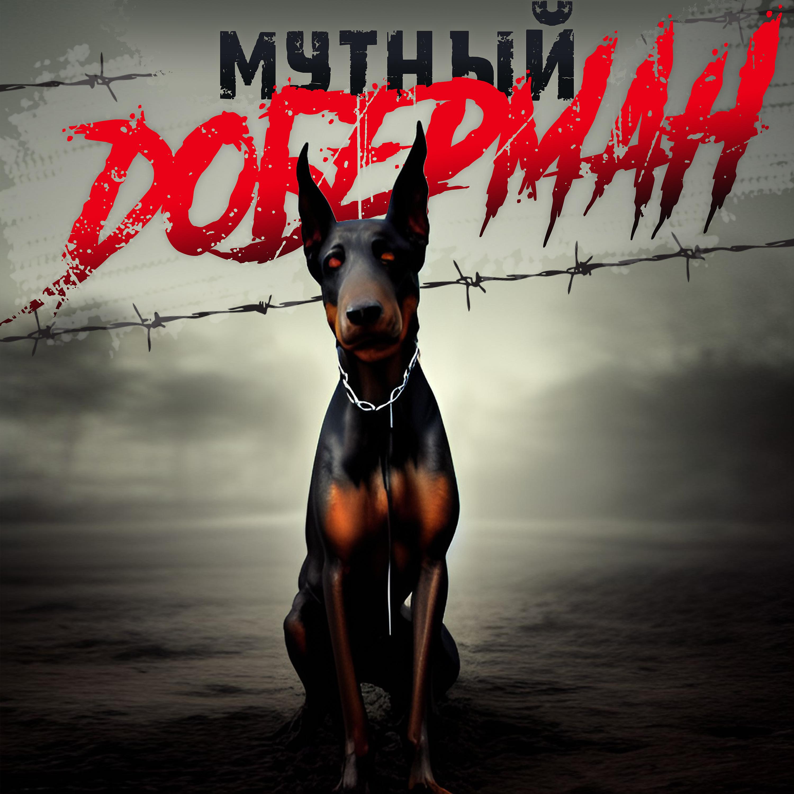 Постер альбома Доберман