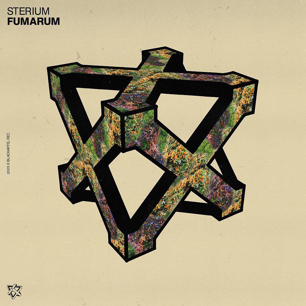 Постер альбома Fumarum