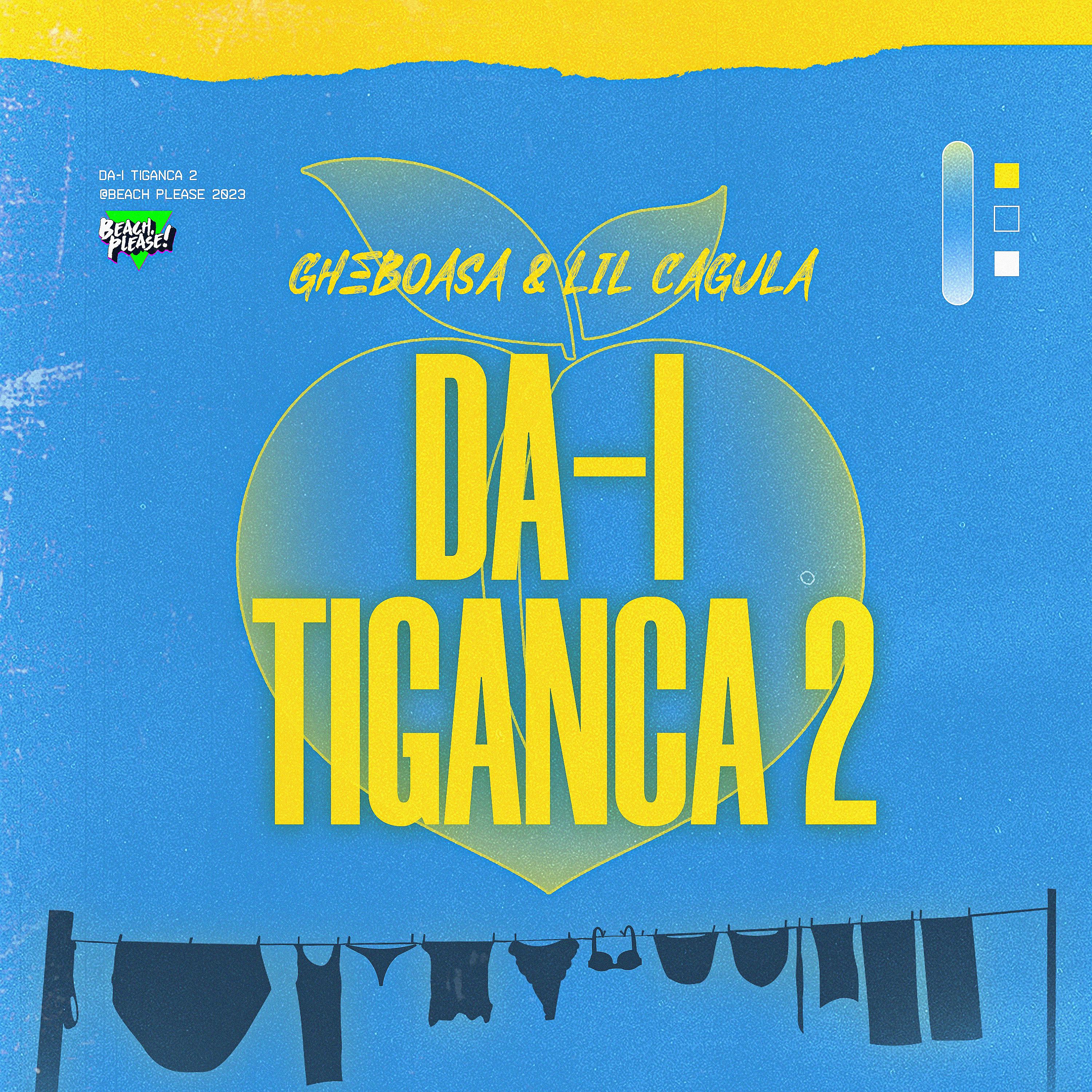 Постер альбома DĂ-I ȚIGANCA 2