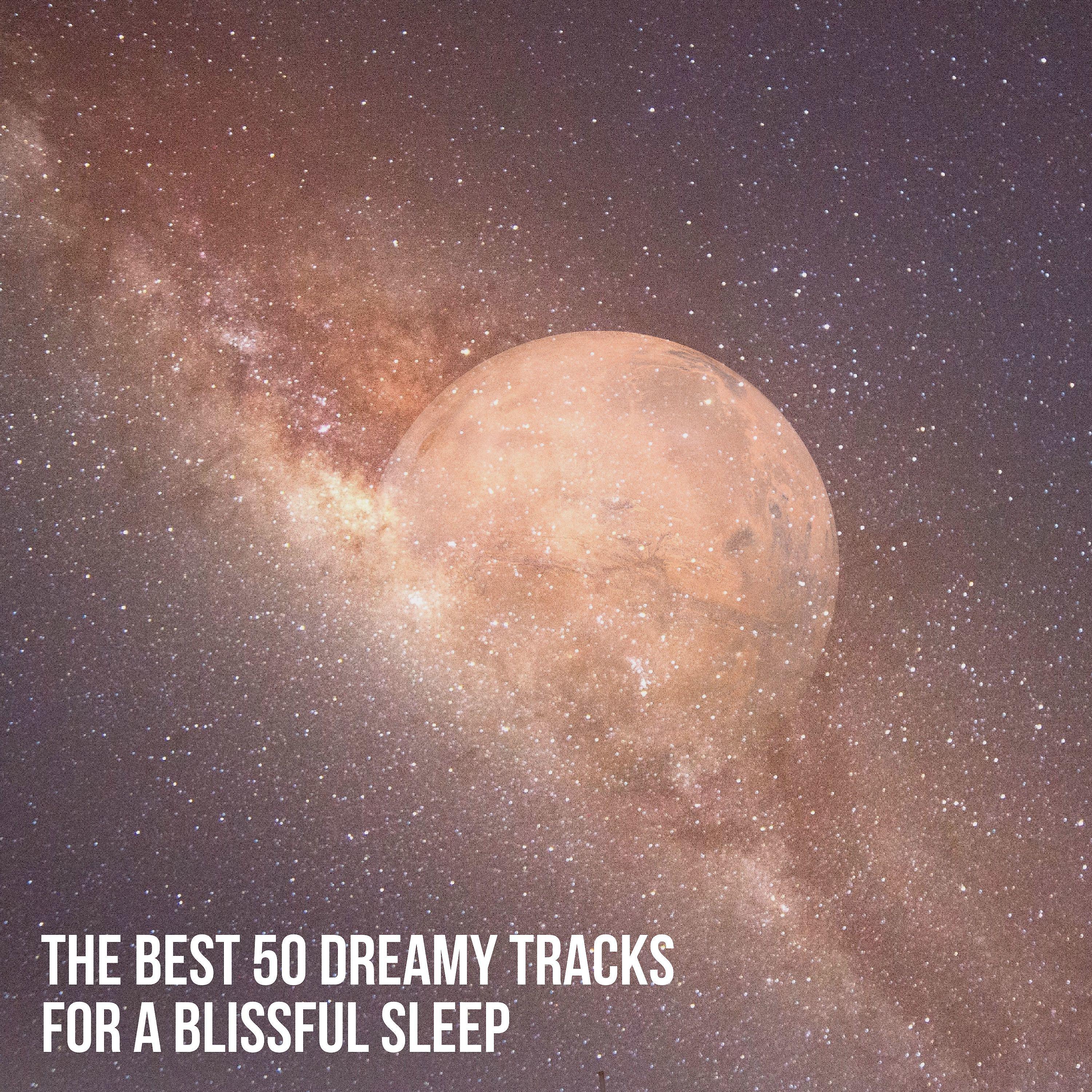 Постер альбома The Best 50 Dreamy Tracks for a Blissful Sleep