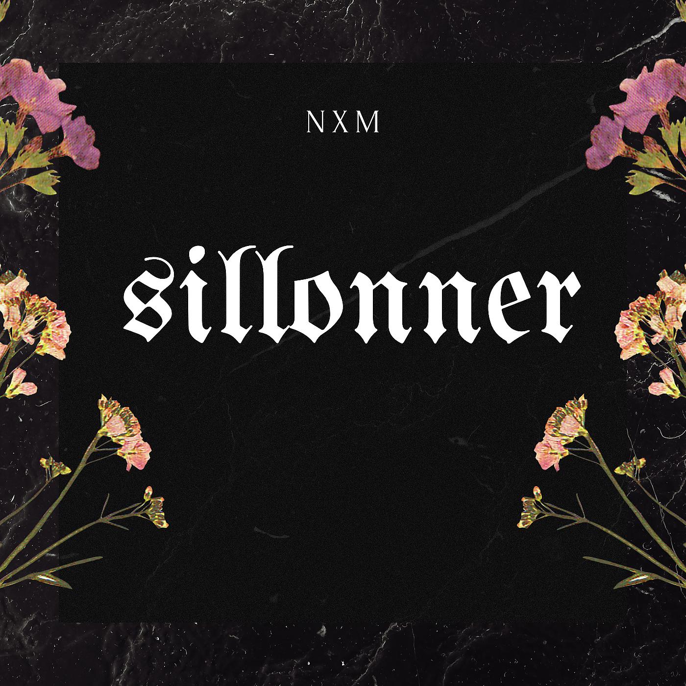 Постер альбома Sillonner