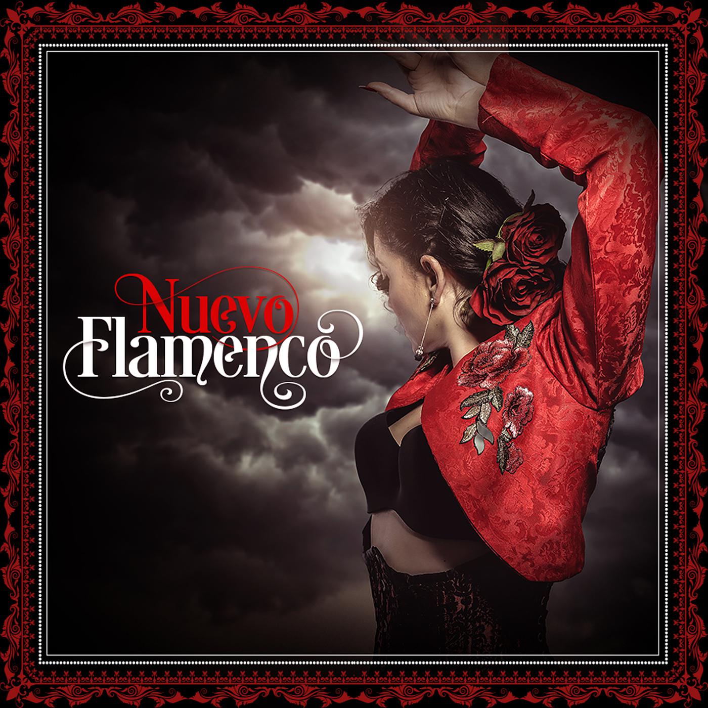 Постер альбома Nuevo Flamenco