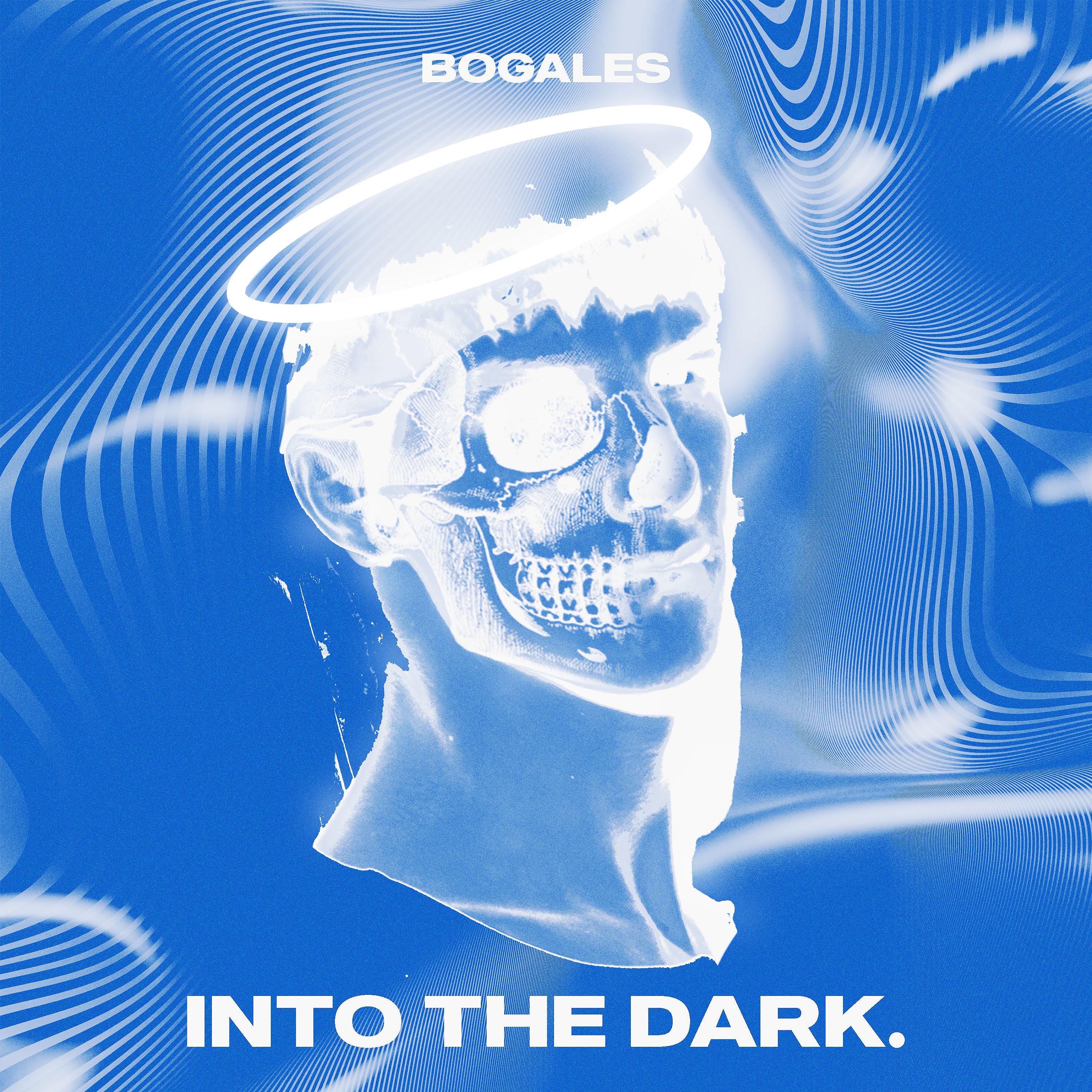 Постер альбома Into the dark