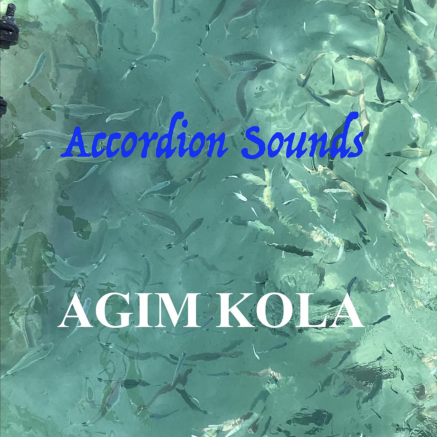 Постер альбома Accordion Sounds