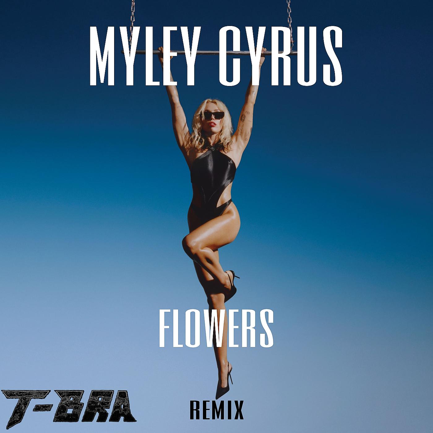 Постер альбома Flowers (T-Bra Remix)