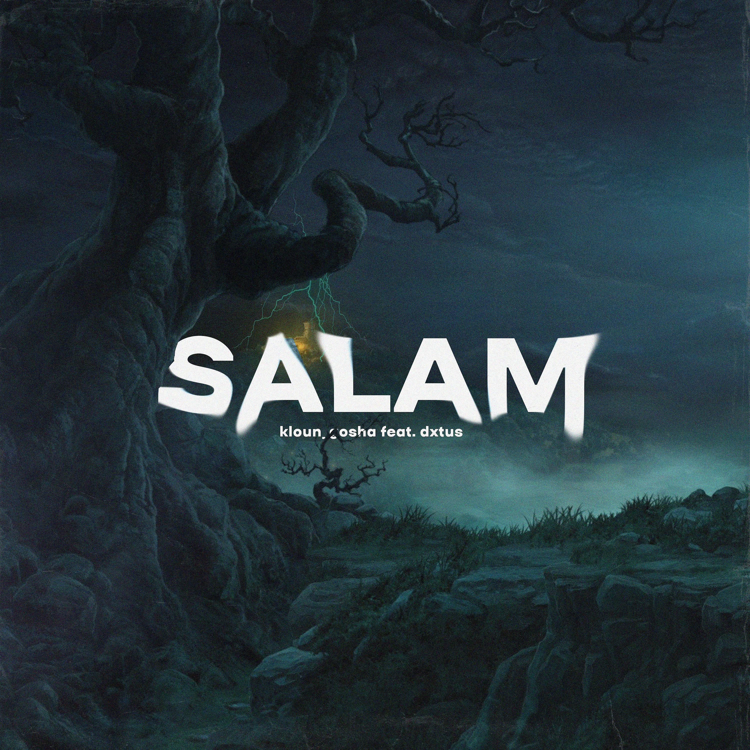 Постер альбома SALAM