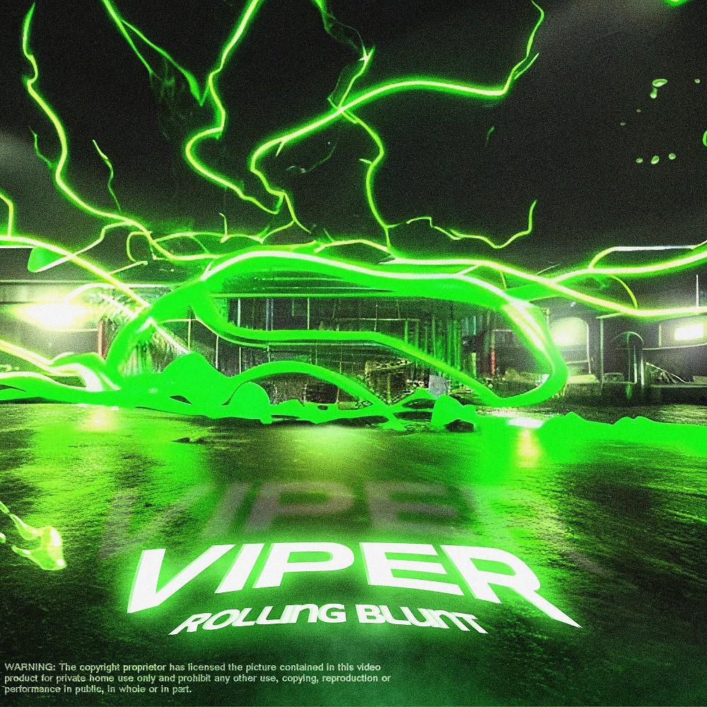 Постер альбома Viper (Prod. By Lucas Fenton)