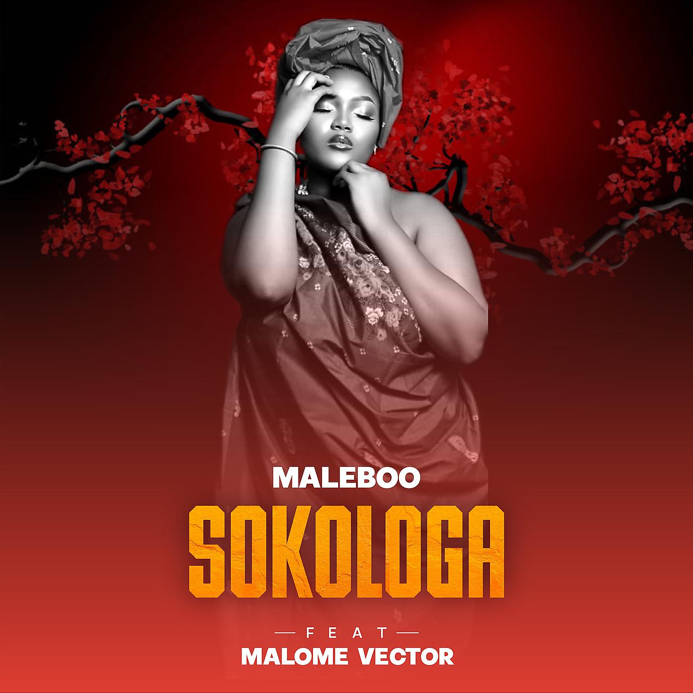 Постер альбома Sokologa