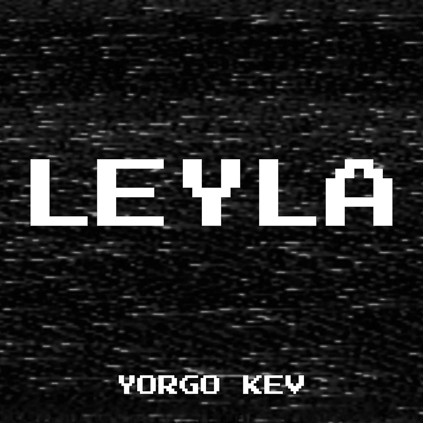 Постер альбома Leyla